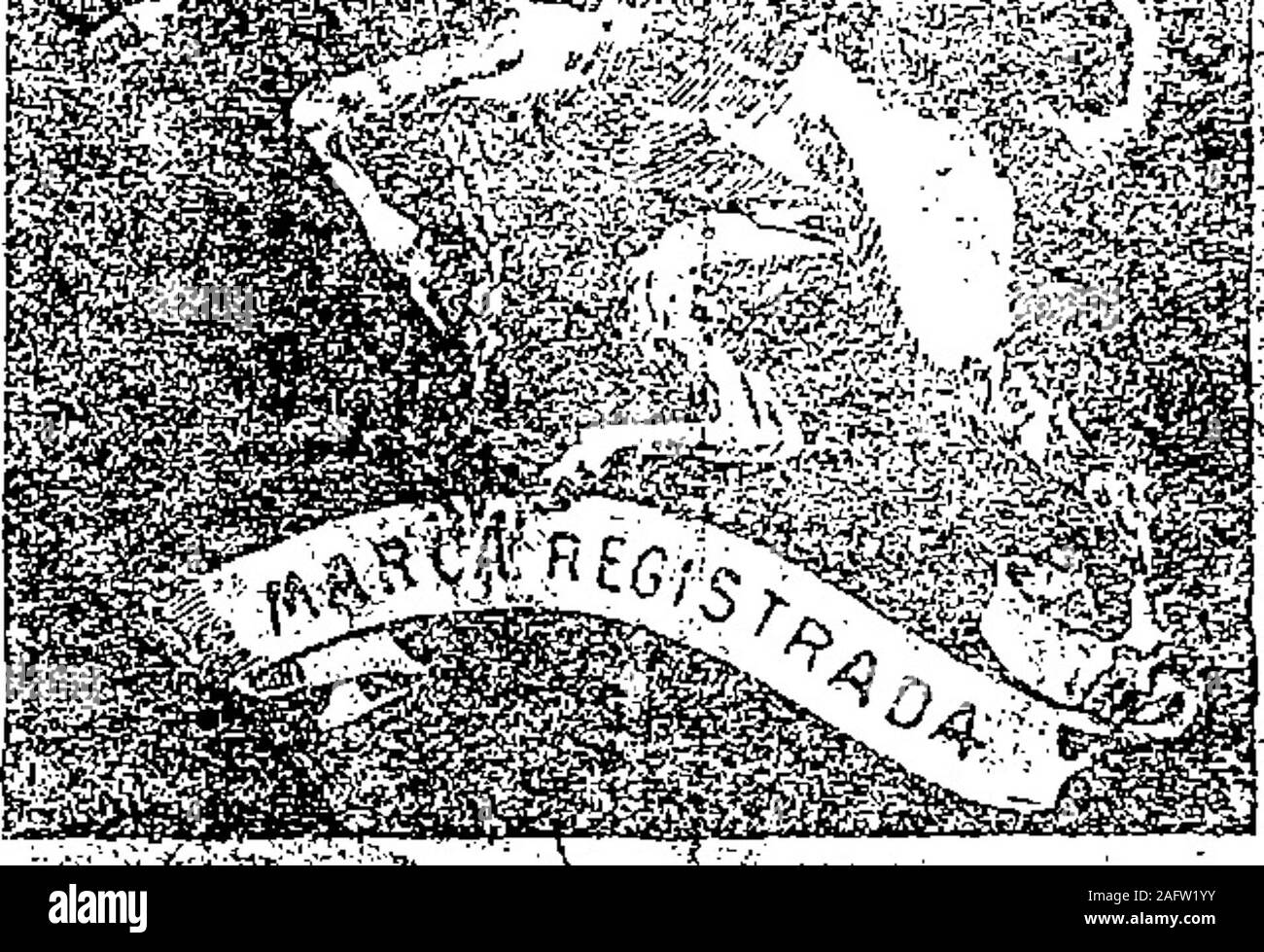 . Boletín Oficial de la República Argentina. 1913 1ra sección. Banque D'Images