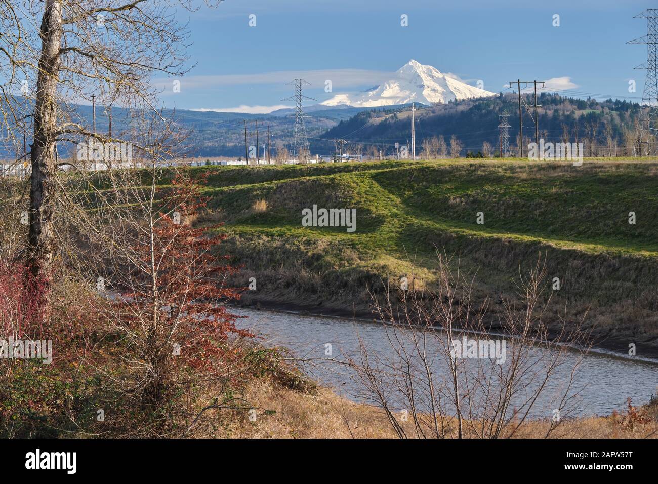 Hiver dans un paysage de l'Oregon. Banque D'Images