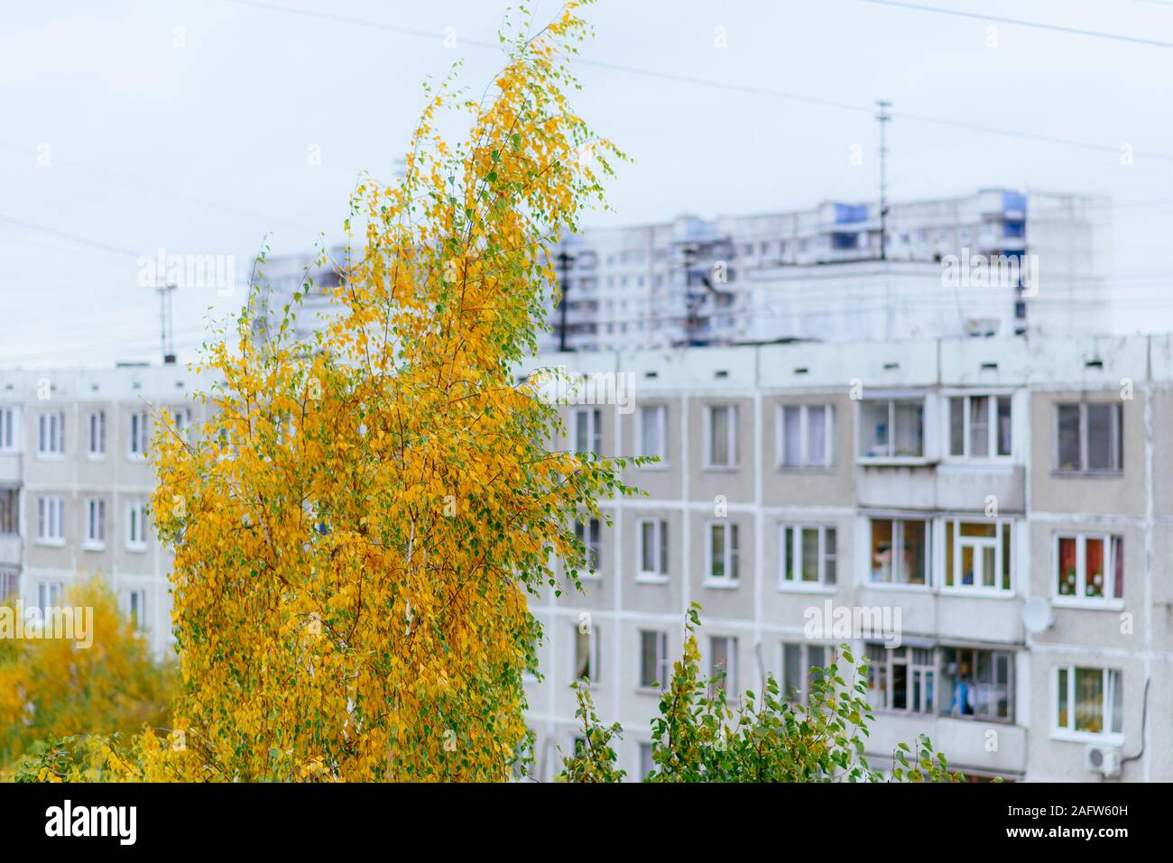 La vue depuis la fenêtre sur la Chertanovo à Moscou à l'automne Banque D'Images