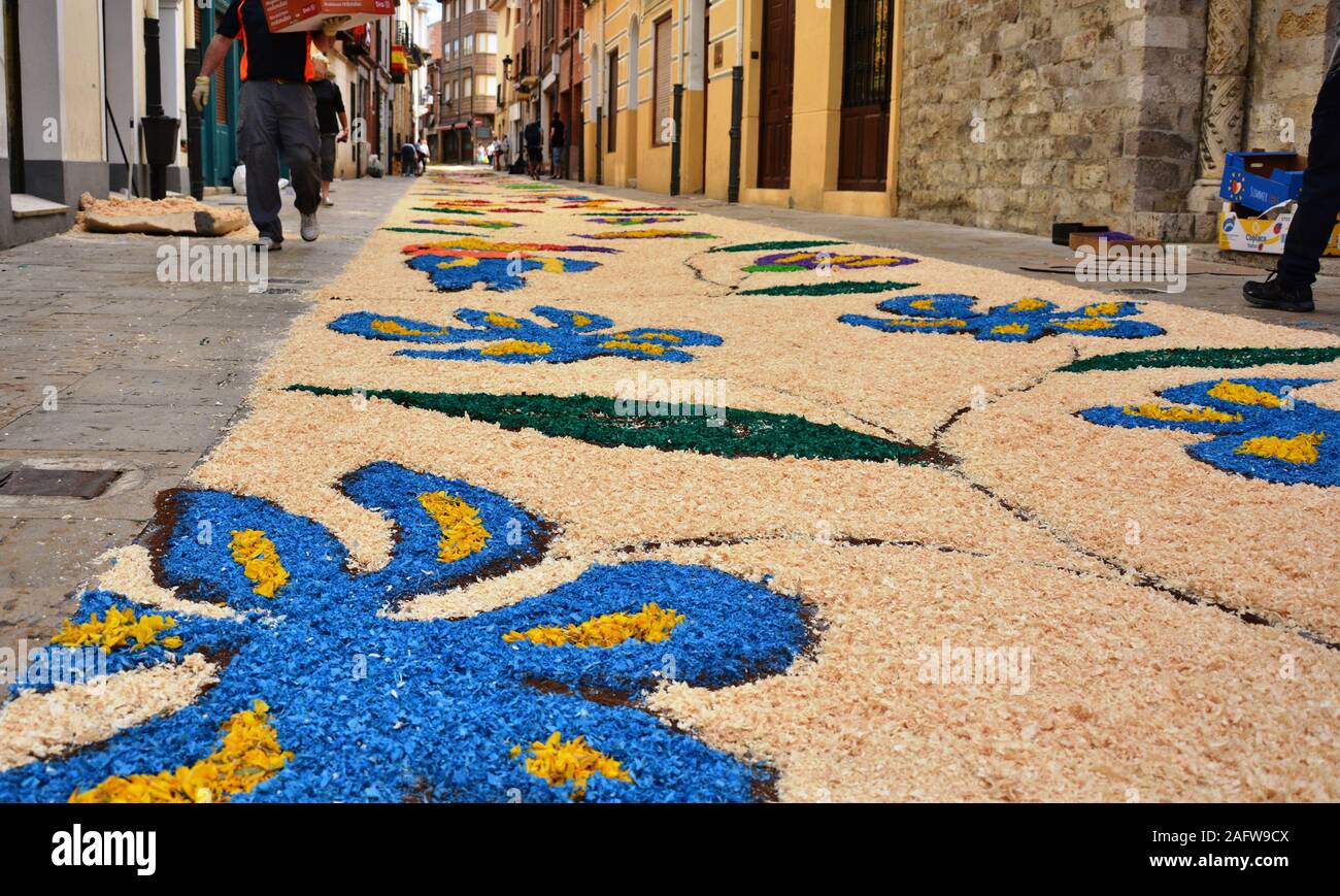 Street décorées de fleurs à la fête de Corpus Christi Banque D'Images