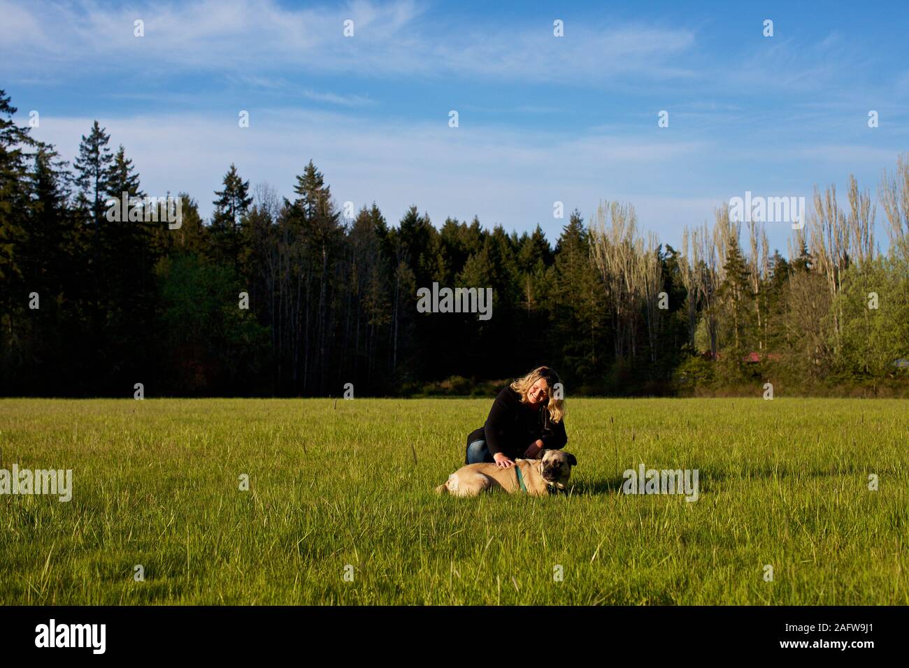 Woman with dog in sunny, rural field Banque D'Images