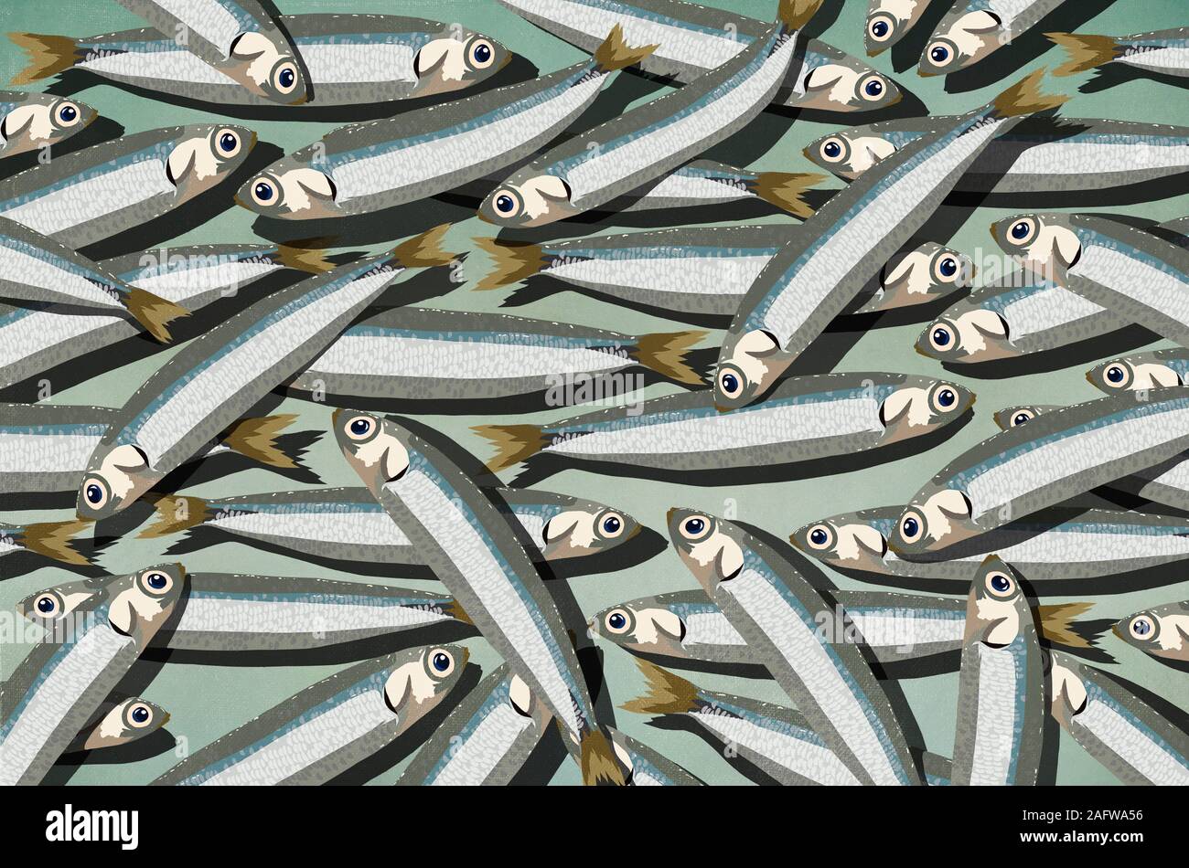Pile de sardines Banque D'Images
