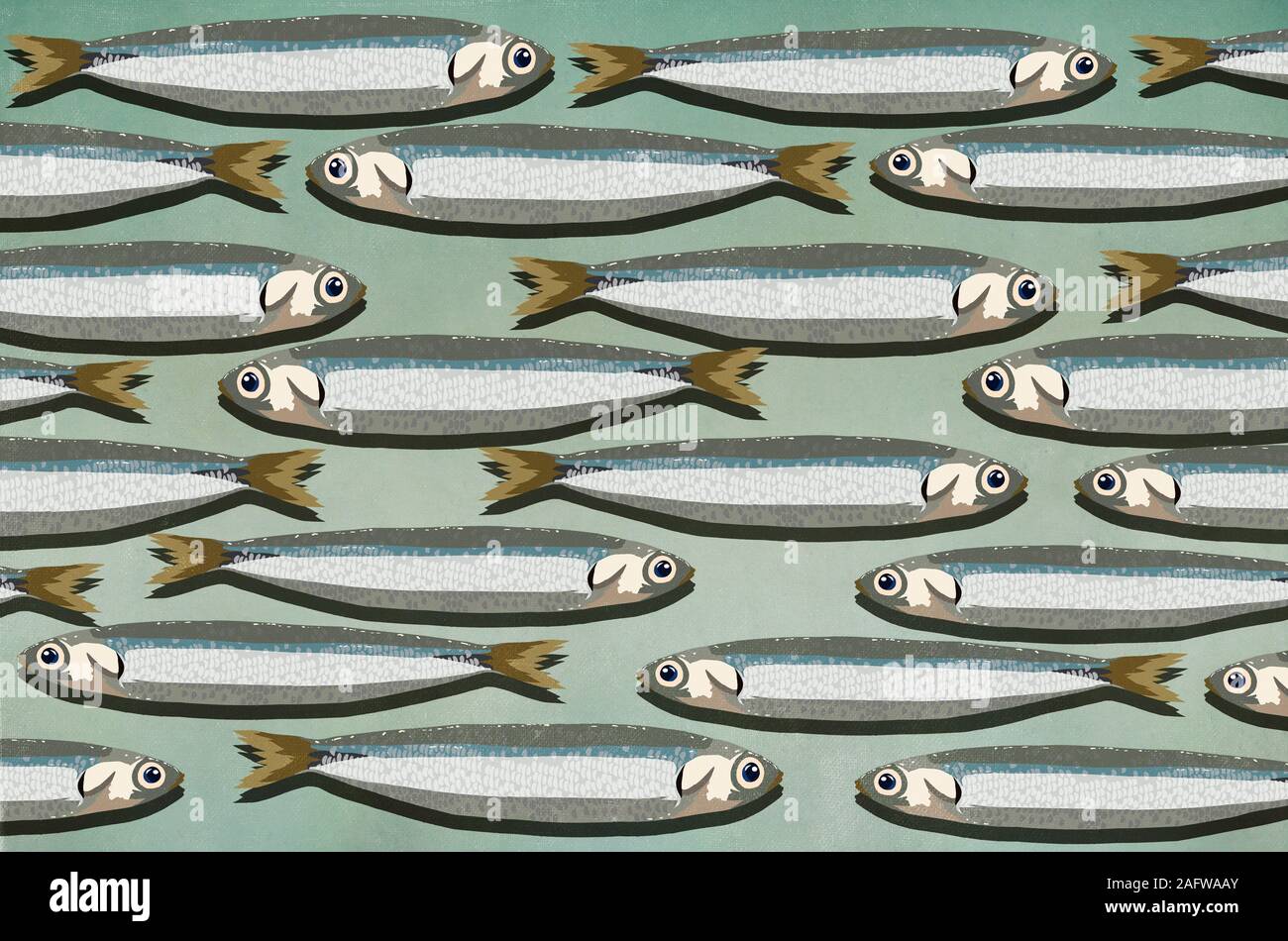 Arrière-plan de sardines Banque D'Images