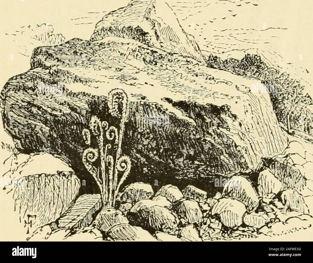 . L'histoire de Springfield dans le Massachusetts, pour les jeunes ; d'être aussi dans une partie de l'histoire de d'autres villages et villes dans le comté de Hampden. et la longue crête au volcan Wcrk : carte par William Orr. sud, entre West Springfield et Westfield, et l'inférieure,la crête parallèle. Peu de Tom, avec le Tathamand Paucatuck entre Ridge, ainsi que Bauvin montagne sur laquelle est ourequalizing réservoir. Le trap rock formes aussi andTitans Piazza Pier Titans. La roche volcanique peut être vu exposés on trouve dans le piège des carrières ; aussi dans le chemin de fer coupe entre 10 HISTOIRE DE SPRINGFIELD Tatham Banque D'Images