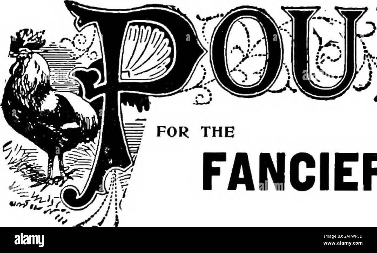 . Le manuel de la volaille. Un guide complet pour l'éleveur et exposant ... Pour l'élevage d'Chiclcens andWinter en été. Galeries : 235 Regent Street, London, W. Propriétaires- écrire pour l'ILLUSTRATION DE LA LISTE DES PRIX À SPRATTS Ltd. BREVET 24 & 25 Fenchurch St., London, p. ex. WEEKLYD. 1 Créé en 1883. WEEKLYD. 1. Banque D'Images