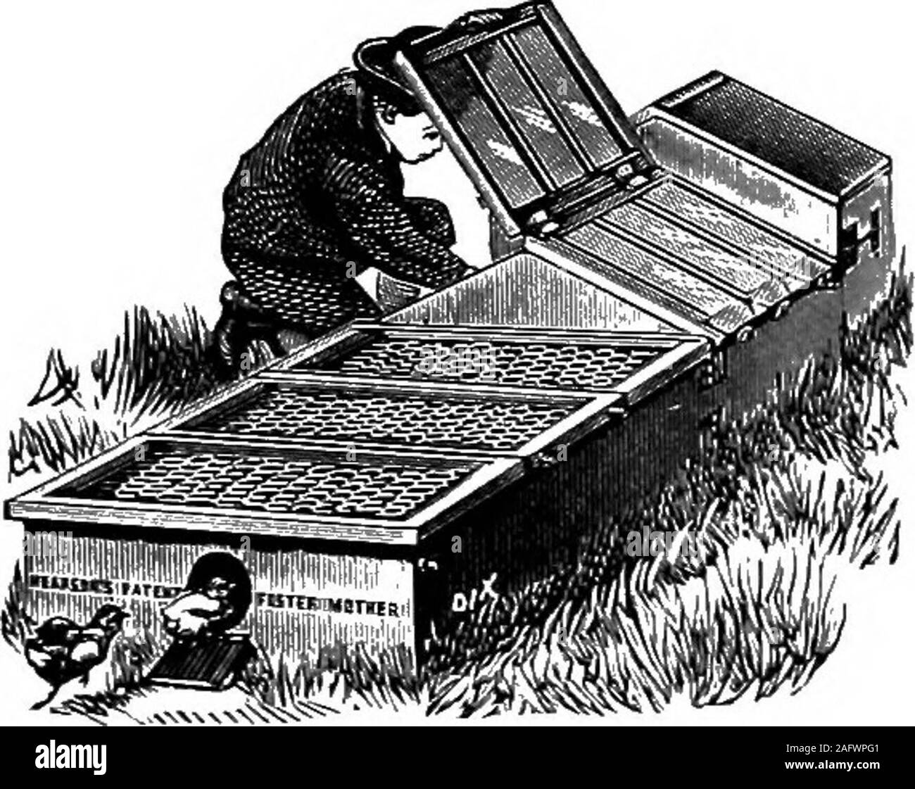 . Le manuel de la volaille. Un guide complet pour l'éleveur et exposant ... Pour l'alimentation forcée, ofChickens HYDROTHERMIO dindes, etc. Favoriser l'IVIOTHER. Pour l'élevage d'Chiclcens andWinter en été. Galeries : 235 Regent Street, London, W. Propriétaires- écrire pour l'ILLUSTRATION DE LA LISTE DES PRIX À SPRATTS Ltd. BREVET 24 & 25 Fenchurch St., London, p. ex. WEEKLYD. 1 Créé en 1883. WEEKLYD. 1 Banque D'Images