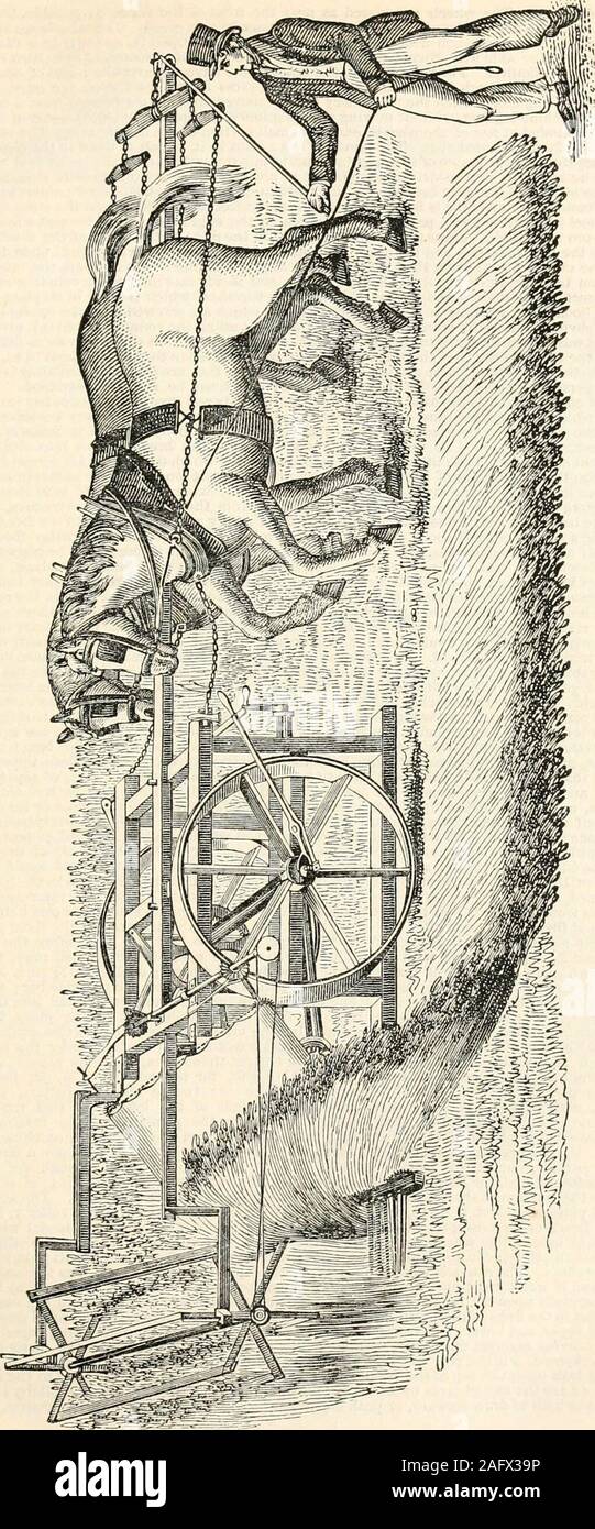 . Une encyclopédie de l'agriculture : comprenant la théorie et la pratique de l'évaluation, le transfert, l'aménagement, l'amélioration et la gestion de la propriété foncière, et de la culture et de l'économie de l'animal et de l'agriculture Productions végétales. s S76 et 377.) est le plus récent et le plus parfait de l'inven cette description. Le cadre de cette machine (a a) peut être faite plus léger ou plus fort de l'accord aux circonstances ; b c d et c sont quatre roues sur lequel elle est posée, de quelque forme qu'il ismade ; B B ont leurs rayons à angle droit par rapport à leurs nefs, et sont à 3£ pieds diamet Banque D'Images