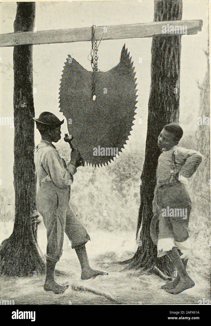 . Routes et ruelles du Sud. gs ont visité une poolthat déchets formés sur le sol au-dessous. Beaucoup d'un bucketfulfor accueil utilisation a été emporté par les Blancs, andblacks et chaque petit alors que certains homme de couleur s'oryouth boire en mettant sa bouche vers le bas pour thespout, ou peut-être pourrait-il remplir son chapeau de feutre et drinkfrom que. Sur ma marche, le jour avant, Jerry et Abrahamhad m'a fait remarquer les peuples de couleur chuch-chambre - une plaine, barnlike putup initialement structure pour un bar-salle. Il se tenait dans les bois sur theriver bank, et le ruisseau coulait pas anddeep swift sombre et un jet de pierre. En face Banque D'Images