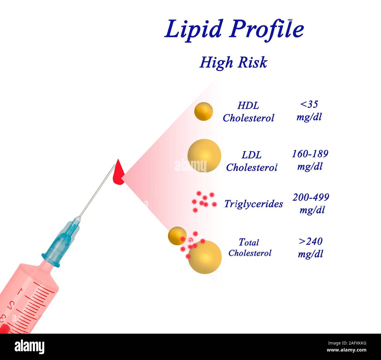 Quatre composantes du profil lipidique Banque D'Images