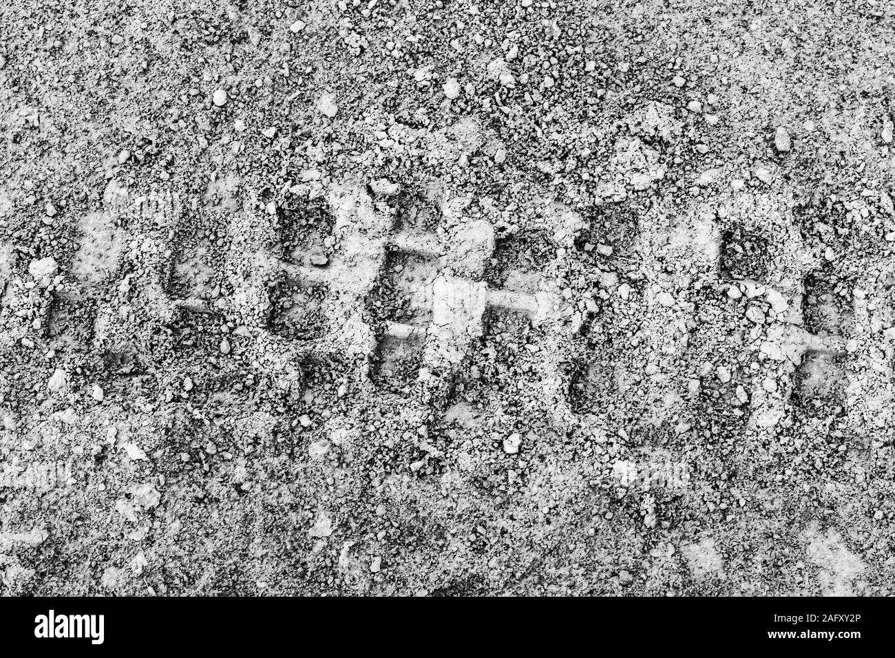 La texture des traces de pneu sur la terre sèche. Résumé fond pour la conception. Monochrome. Banque D'Images