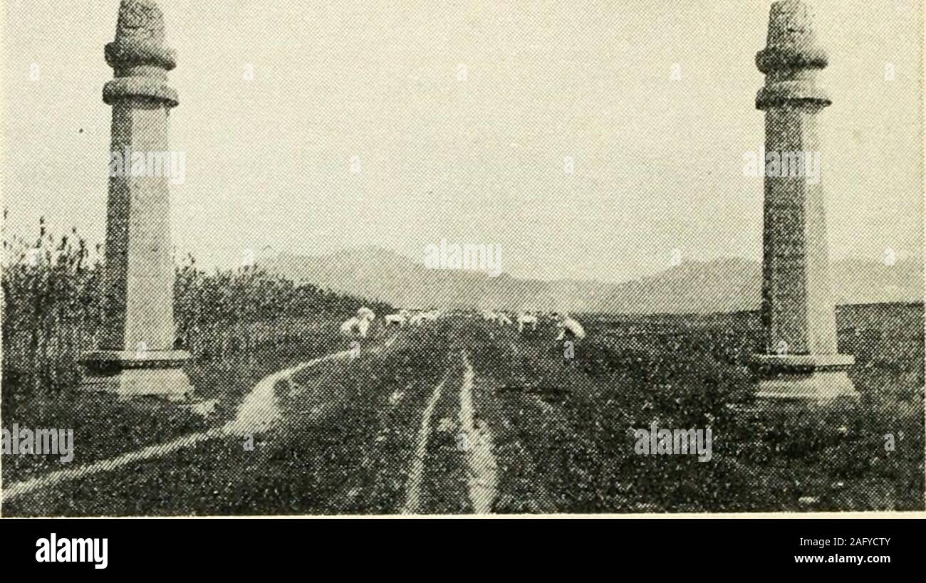 . Pékin et la voie terrestre. portioas de pays, à l'industriel moderne installé à centre-^Chicagoof la Chine. Comiections Cheng-Tai sont faits avec l'atChengting Fer-fu, avec le Jao-Ching-Line à Sin Siang Sion, et atChengchow Pionlo-fu avec la ligne. Le quotidien des trains directs sont équipées de voitures de la classe iirst in-y compris un salon central pour passongei-s seulement bujing billets ordinaires et quatre,4 compartiments couchettes pour passnngoi-s i)uying ticketsbesides quai leurs billets ordinaires. Chaque lundi, mercredi et vendredi de Pékin et everyWednesday, vendredi et dimanche de Hankow th Banque D'Images