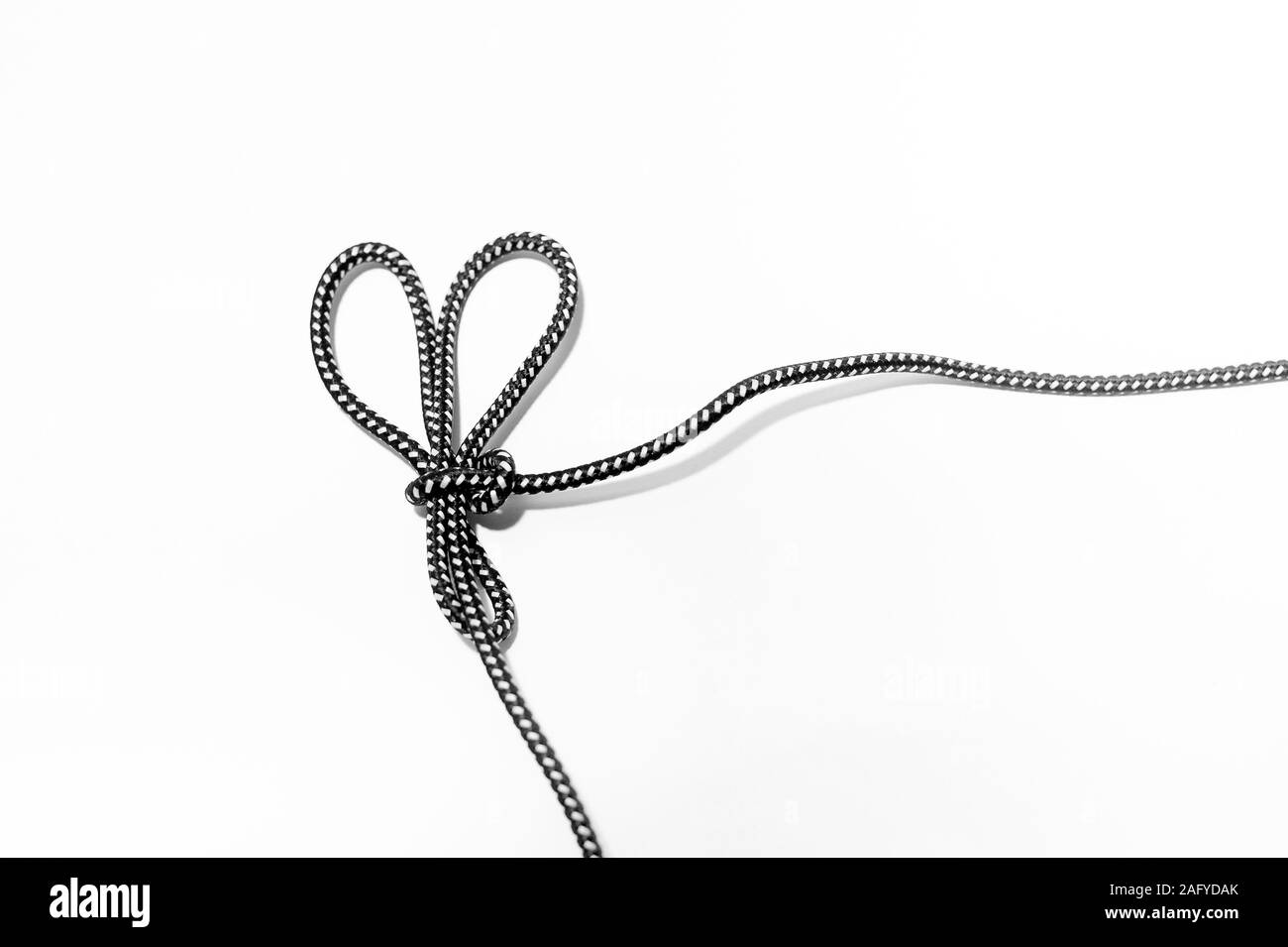 Oreilles de lapin un noeud sur fond blanc Banque D'Images