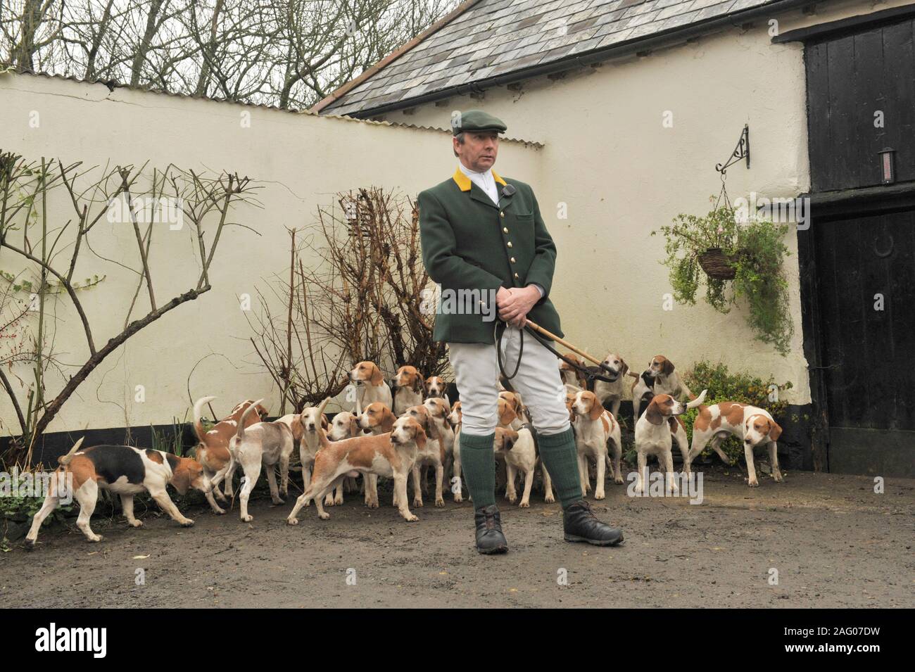 Beagle pack Berkley Banque D'Images