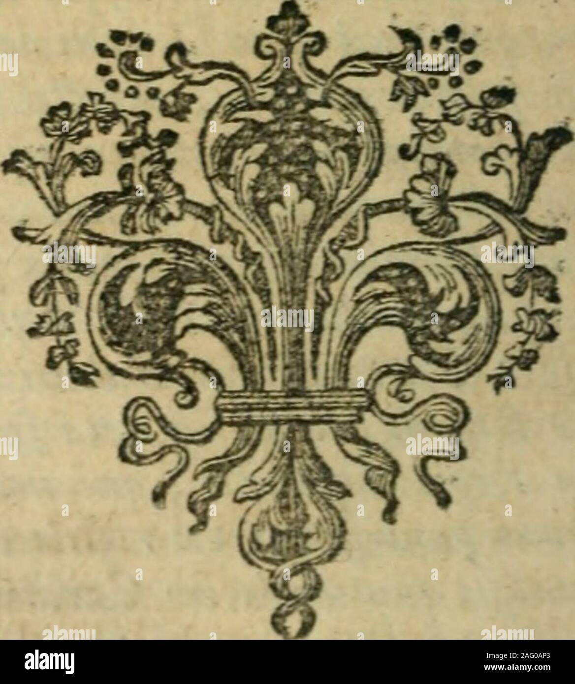 . Mémoires de Messire de Comines-- : contenans l'histoire des rois Charles VIII et XI Loui, depuis l'an 1464 jusqu'en 1498. rmenfîs, S Anaita parfiaï- données, Montîs-Regalis, Dionyfii Urfinus, Sandi, un nouveau ! Alesandrinus. Carthaginenfis, Presbyteri landi : ^^^&lt;iû^ Severir , fanai*Georgii.i, Valentinus,-Csefari GermanuJ ^ , y lius Diaconi : dedi cadem mourir Re- 496 PREUVES ET OBSERVATIONS verendtffimo Maclovicnfî Domino informât !onefM€ompet&Lt ; h2r de jlrenis confuetis perfolvendis tem par ce temris dulam hujufmodi* : Cubiculariis fecretis^p pa(£ ducatorum l Scutifero centum Cape allumé idem:J^ Banque D'Images