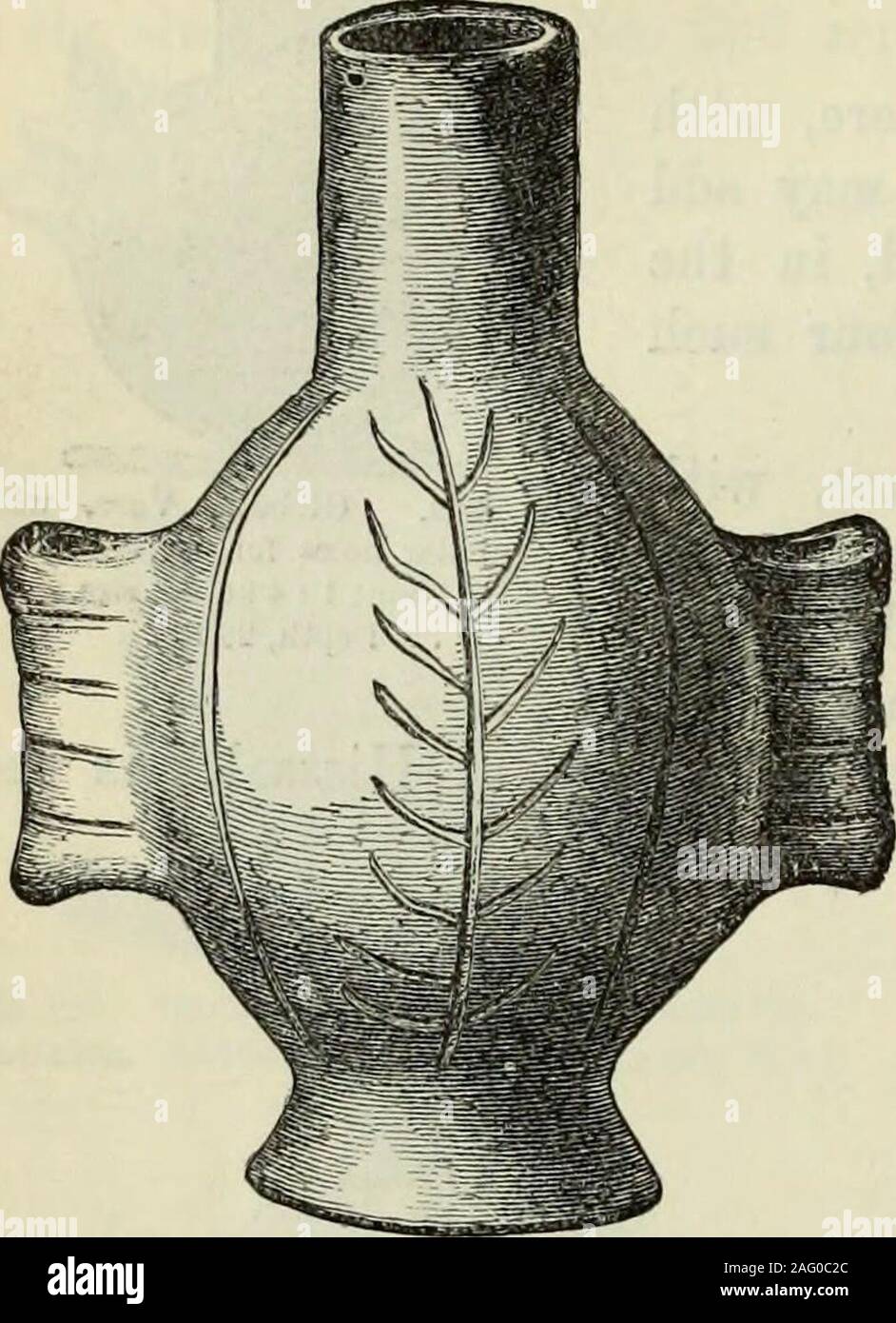 . Ilios : la ville et le pays des Troyens : les résultats des recherches et découvertes sur le site de Troie et tout au long de la Troade dans les années 1871-1872-73-78-79, y compris une autobiographie de l'auteur. 1899-1904, 1910, 1993, 1999 et 2000). ButI rappeler au lecteur que cela, comme tous les autres modèles sur le pré-historicpottery d'Hissarlik, est incisé. Si nous examinons ces incisions avec alens, nous conclure de leur impolitesse et d'irrégularités qu'ils musthave été pris avec a fait des morceaux de silex ou du bois dur, ou avec de l'os-aiguilles, avant de la poterie a été cuits pour la deuxième fois, ou, mo Banque D'Images