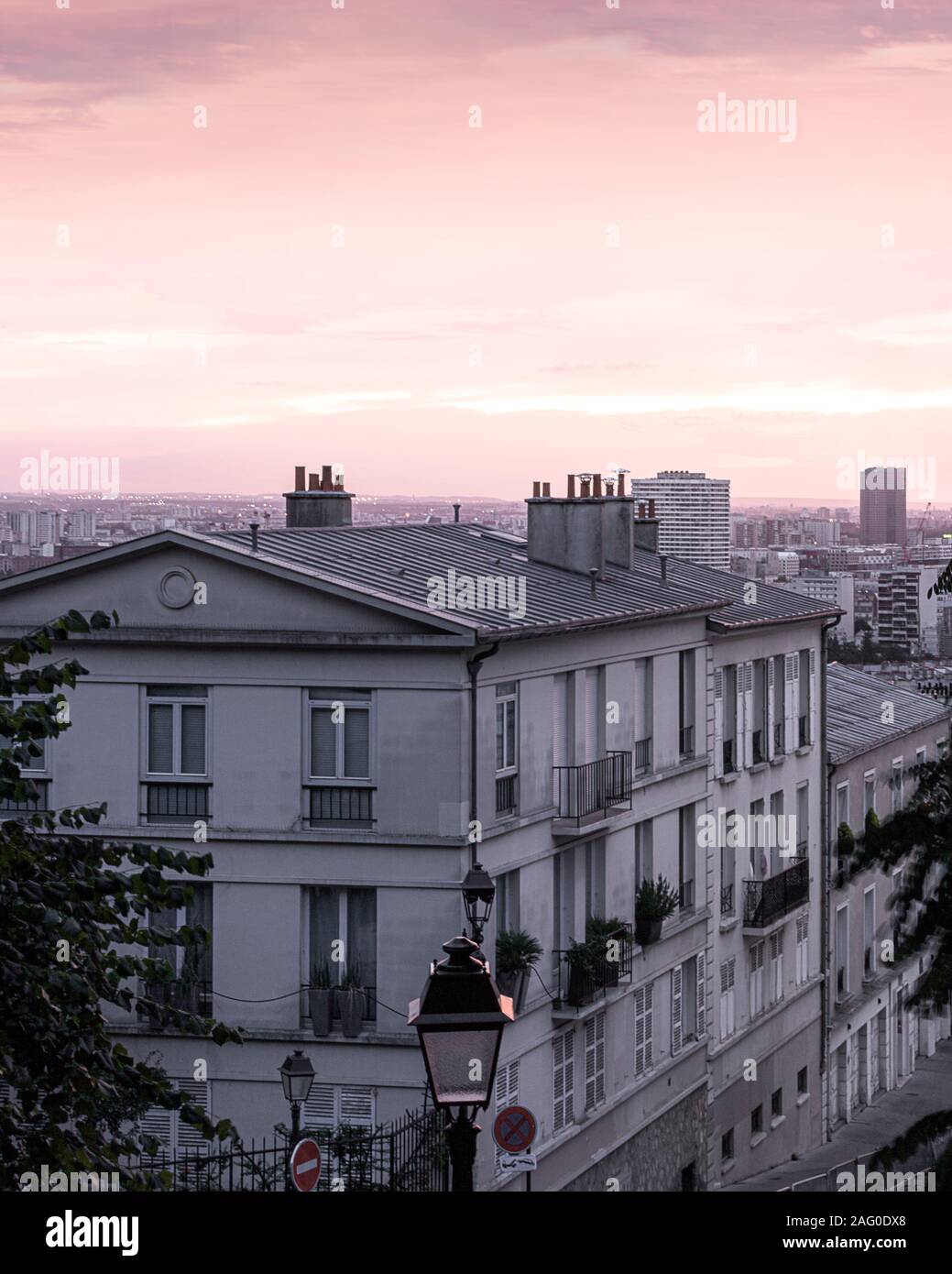 Tôt matin Rose à Paris Banque D'Images