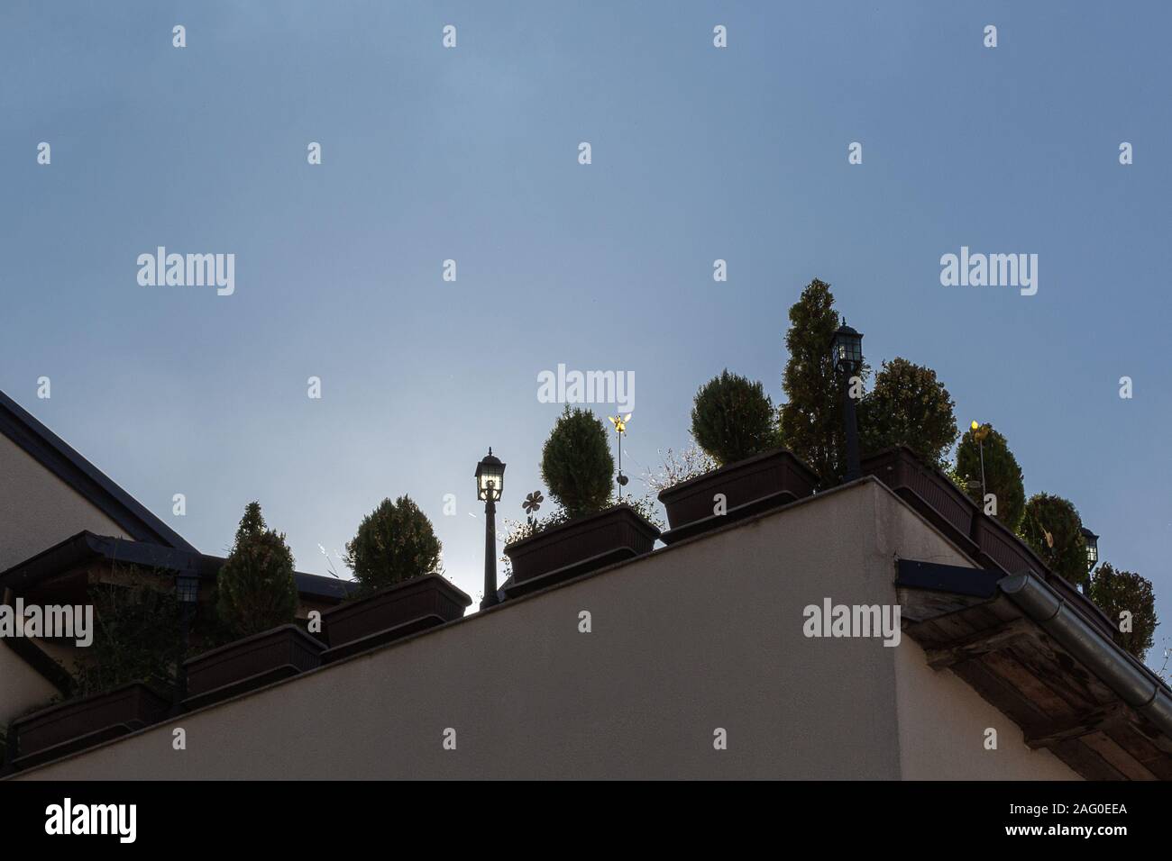 Pots de plantes sur le toit Banque D'Images