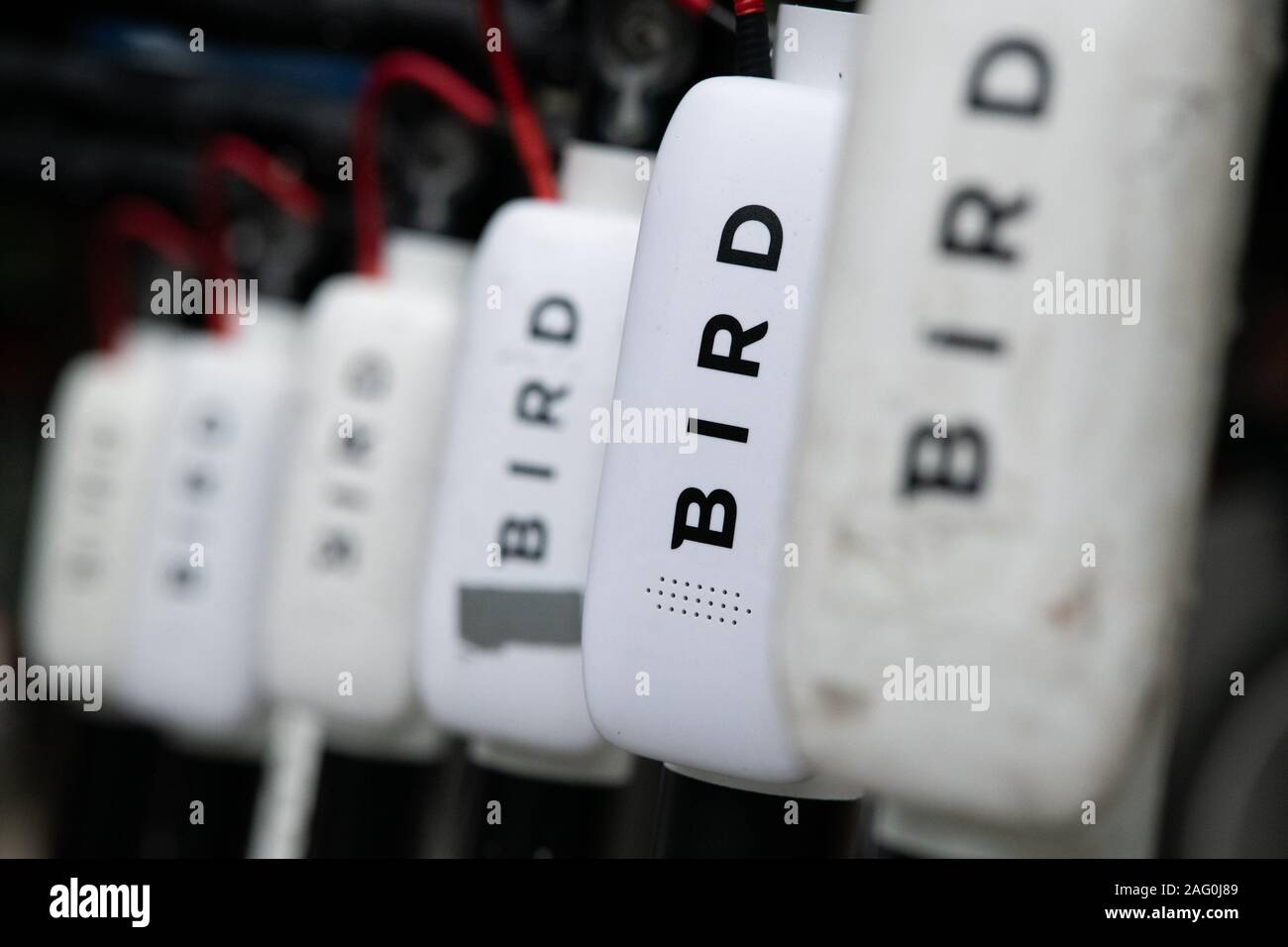 Une ligne d'oiseau dockless scooters garés sur le trottoir, à Washington, D.C., comme vu sur le 5 août 2019. Graeme Sloan/Sipa (USA) Banque D'Images