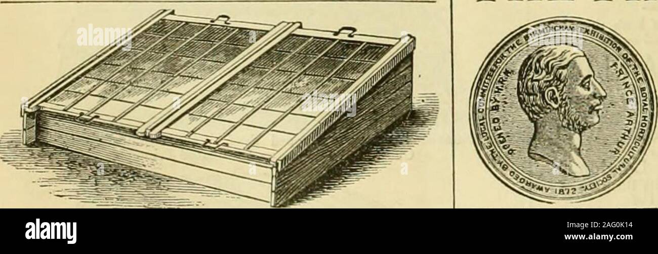 . L'Gardeners' chronicle : un journal illustré hebdomadaire de l'horticulture et des sujets. Banque D'Images