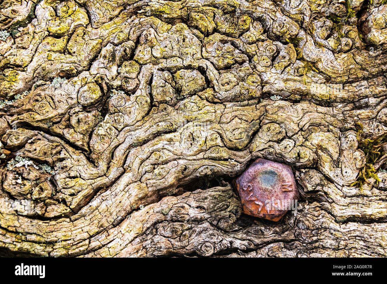 Banc en bois Détail. Weathered Wood et de l'érosion du Siège Définition  avec un tête de vis rouillées. North Devon, Angleterre Photo Stock - Alamy