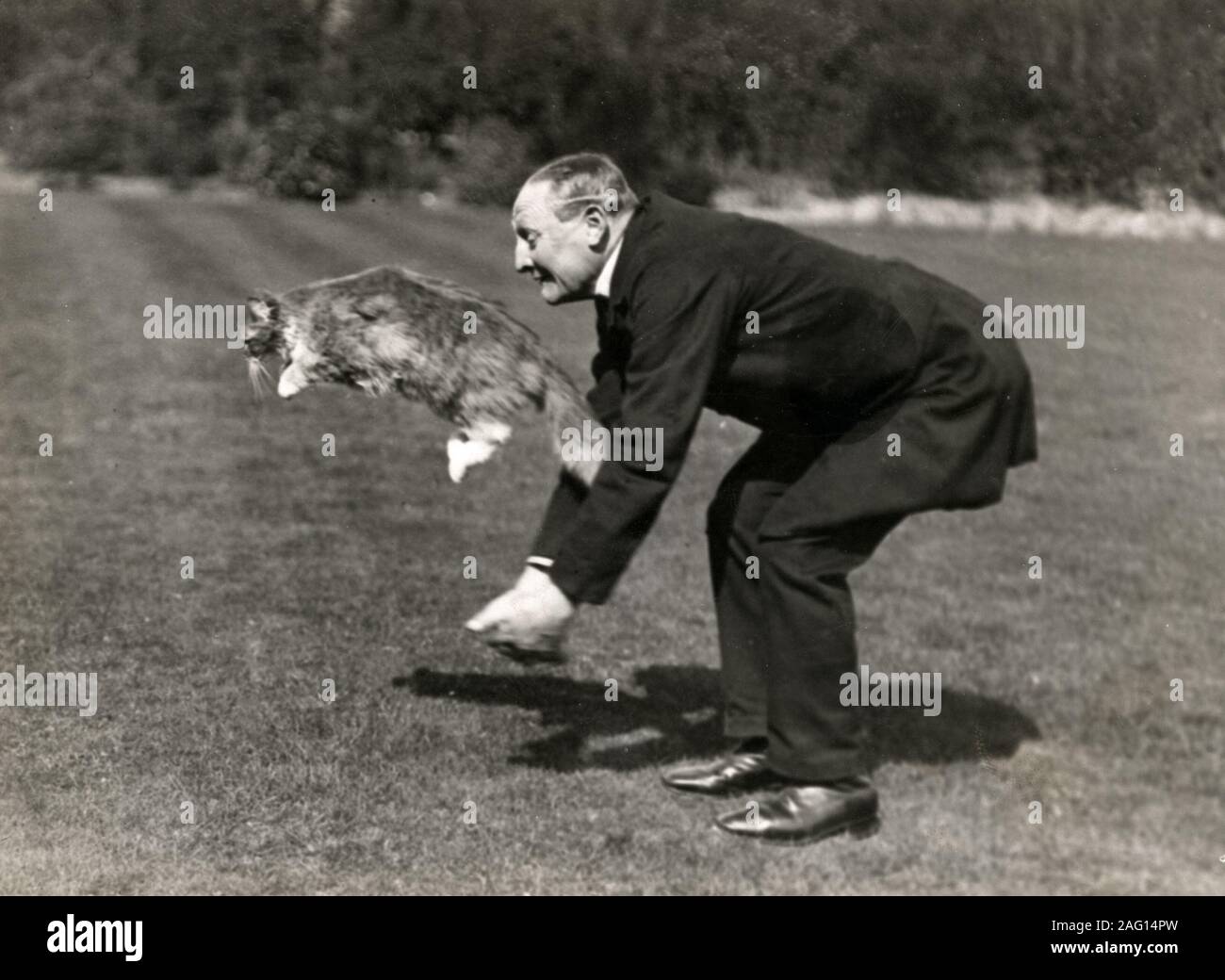Au début du xxe siècle vintage press photographie - un chat sautant. Le chat appartenait à la Princesse Victoria de Schleswig-Holstein Banque D'Images