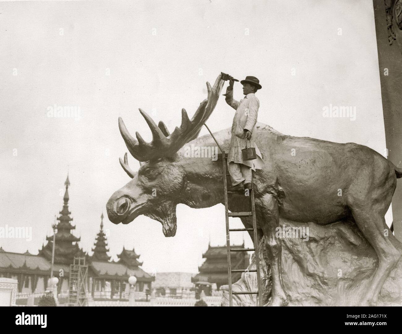 Au début du xxe siècle vintage press photo - Peinture d'un orignal dans le pavillon du Canada à l'Empire britannique l'exposition tenue à Wembley Park, en Angleterre, du 23 avril 1924 au 31 octobre 1925 Banque D'Images