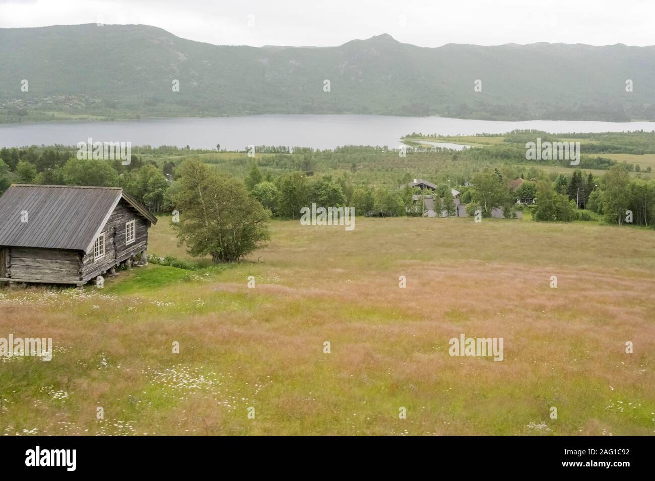 Paysage avec maison sur piste verte en campagne, tourné sous la lumière d'été nuageux lumineux près de Geilo, Norvège Banque D'Images