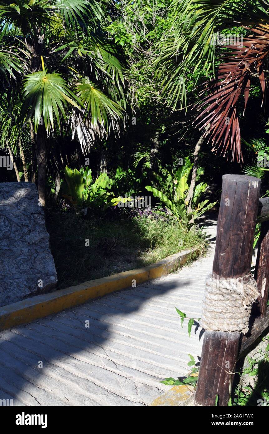 Une rampe d'accès pour grimper la colline à la ruines de Tulum Banque D'Images