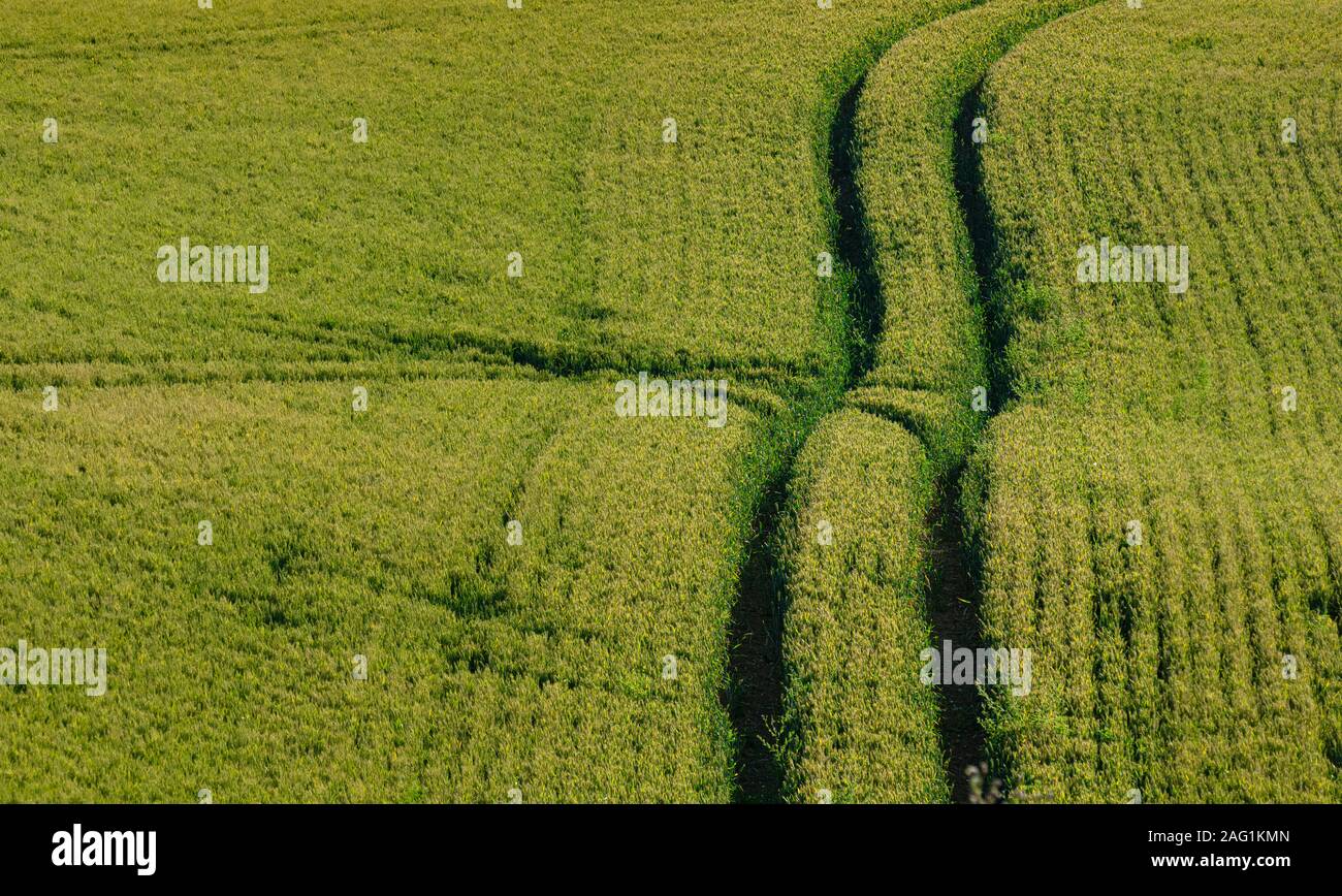 Le Lincolnshire Wolds, East Midlands, Royaume-Uni, mai 2019, vue de la campagne du Lincolnshire et sentiers du tracteur Banque D'Images