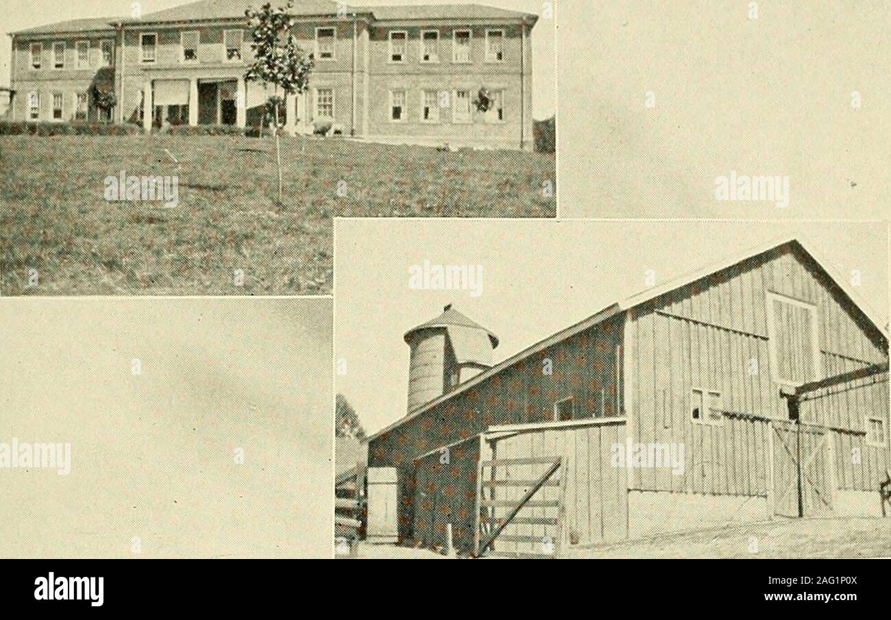 . La proportion de troubles mentaux en Virginie : un rapport spécial de l'État Conseil d'organismes de bienfaisance et des corrections à l'assemblée générale de dix-neuf seize sur la faiblesse d'esprit dans l'état de Virginie, ainsi qu'un plan pour la formation, la ségrégation et la prévention de la procréation des faibles d'esprit. WANDERER ? 6 D.INF. D.INF. Pour la colonie faible- esprit GRAPHIQUE 83. Tableau 84.-Une famille névropathique.-l'accouplement centrale est d'un fou,femme immorale (une seule fois à un résident de l'arrondissement distincts) et l'homme analcoholic. Ils ont eu cinq enfants. L'aîné est mort d'brainfever à 13 mois ; le second est f Banque D'Images