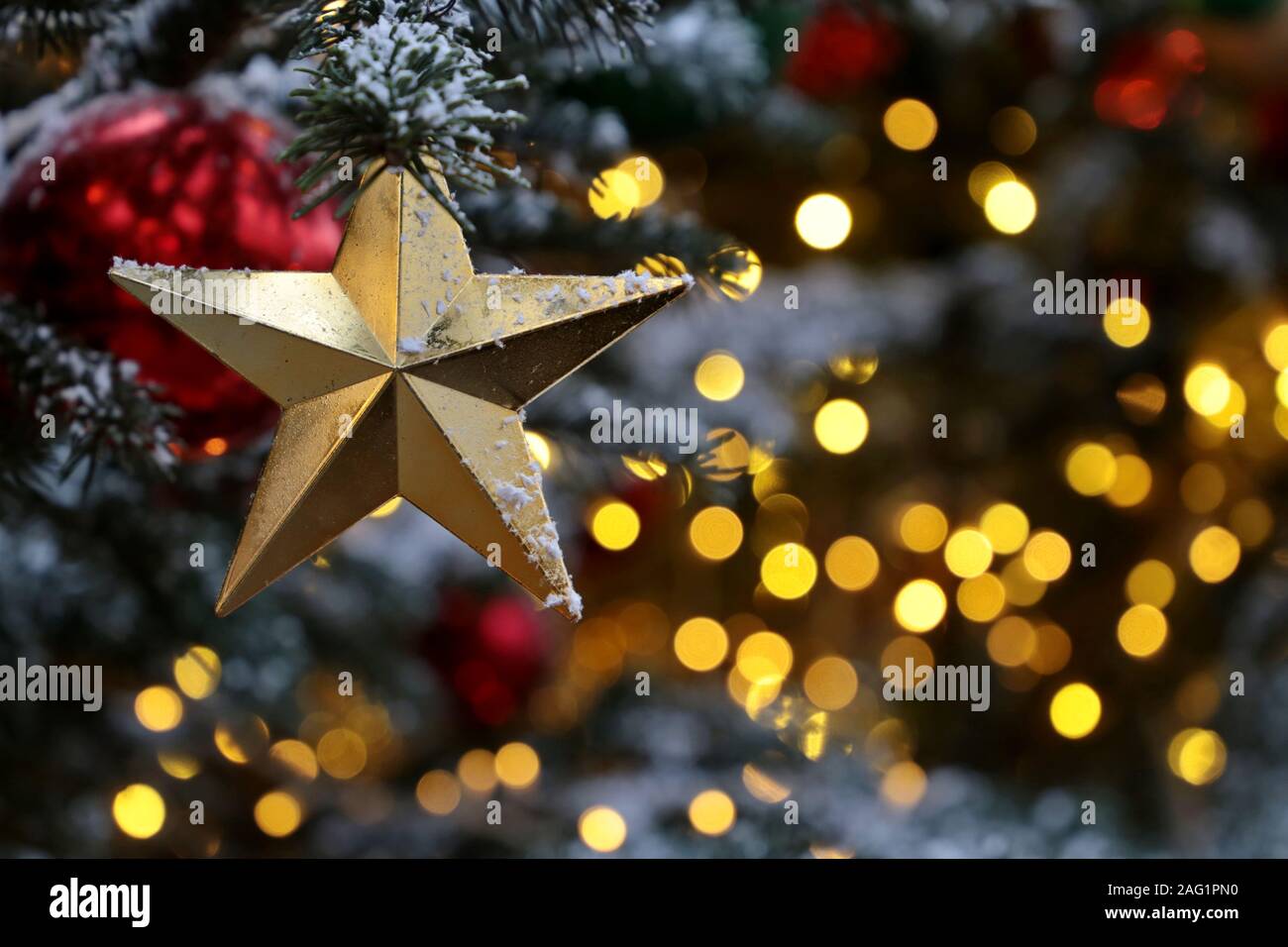 L'étoile de Noël sur une des branches de sapin sur fond de fête feux d'or, l'éclairage de nuit. Nouvel An des arbres avec des décorations, magie d'une maison de vacances Banque D'Images