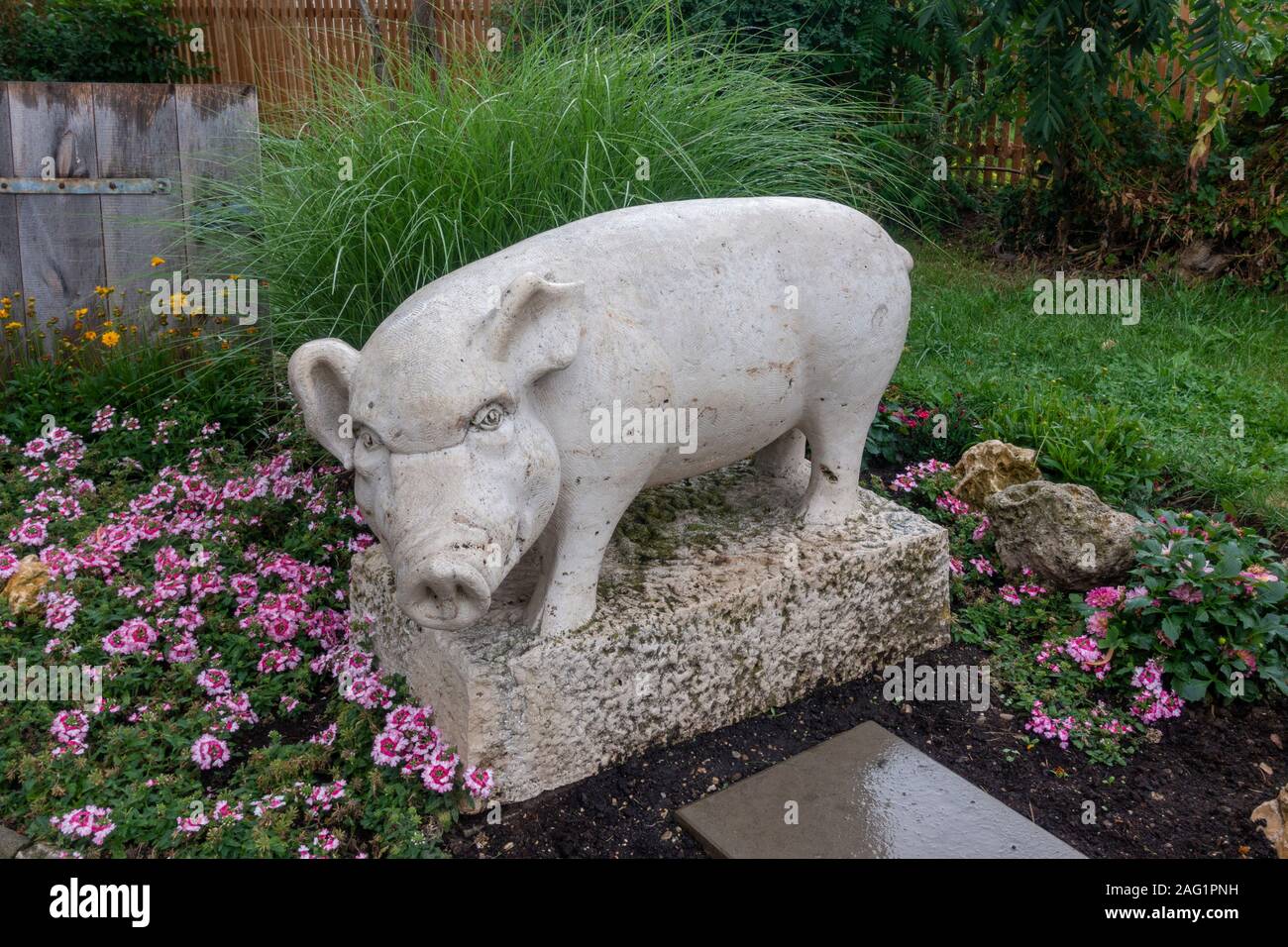 Une des (nombreuses) sculptures de cochon à Nördlingen, Bavière, Allemagne. Banque D'Images