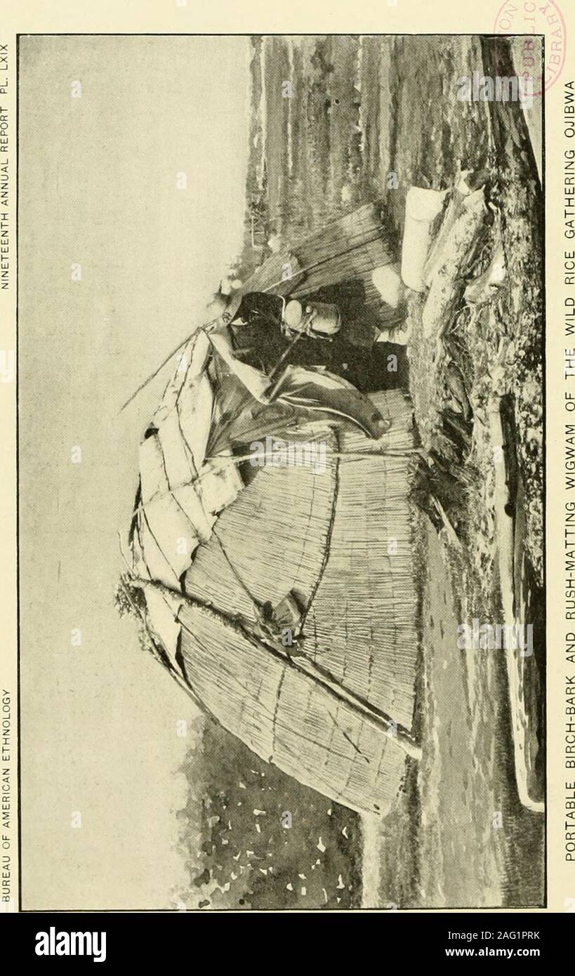 . Rapport annuel du Bureau of American Ethnology au secrétaire de la Smithsonian Institution. n. Ce sont les seuls Winnel)maintenant il y a dans la nature-ricedistrict. Des nombreux Indiens de cette tribu près du comté de Monroe dans Indianschool Tomah, Wisconsin, le surintendant de l'école, underdate d'août 25, 1898, a écrit : les Indiens Winnebago ici arenearly à plein toutes les Bloods, et ils sont à peu près aussi loin de civilisations asthey étaient il y a cinquante ans. L'hiver dans un villagenear Winnebago Elroy, Juneau Comté (Wisconsin), dans l'hiver de 1898-1899, il annualljdarge saidthat maintenant recueillir des quantités de Banque D'Images