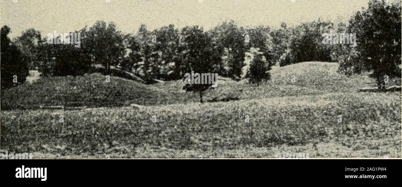 . La physique des sols et de la gestion. FiG. 35.-glaciaire des rainures ou des stries ou contre-Miilaic ioilhern. l'Ohio. À partir d'éléments (ofGeology Auteur, 1911, par Eliot Blackwelder & Harlan H. des castrats. American Book Co.). Fig. 30.-topographie typique de moraine terminale près de Ocomowoc, Wisconsin. WisconsinGeol. De l'enquête. (Fenneman.) par la fonte des glaces accélérée matériellement et a été réparti sur le territoire par l'eauet le vent, formant le meilleur du matériau du sol. Dans certains en-stances il a été beaucoup plus loin que la limite de la glace comme sheetand tabliers immense au-delà de la glace avant. 44 PHYSIQUE DES SOLS ET DE GESTION Banque D'Images