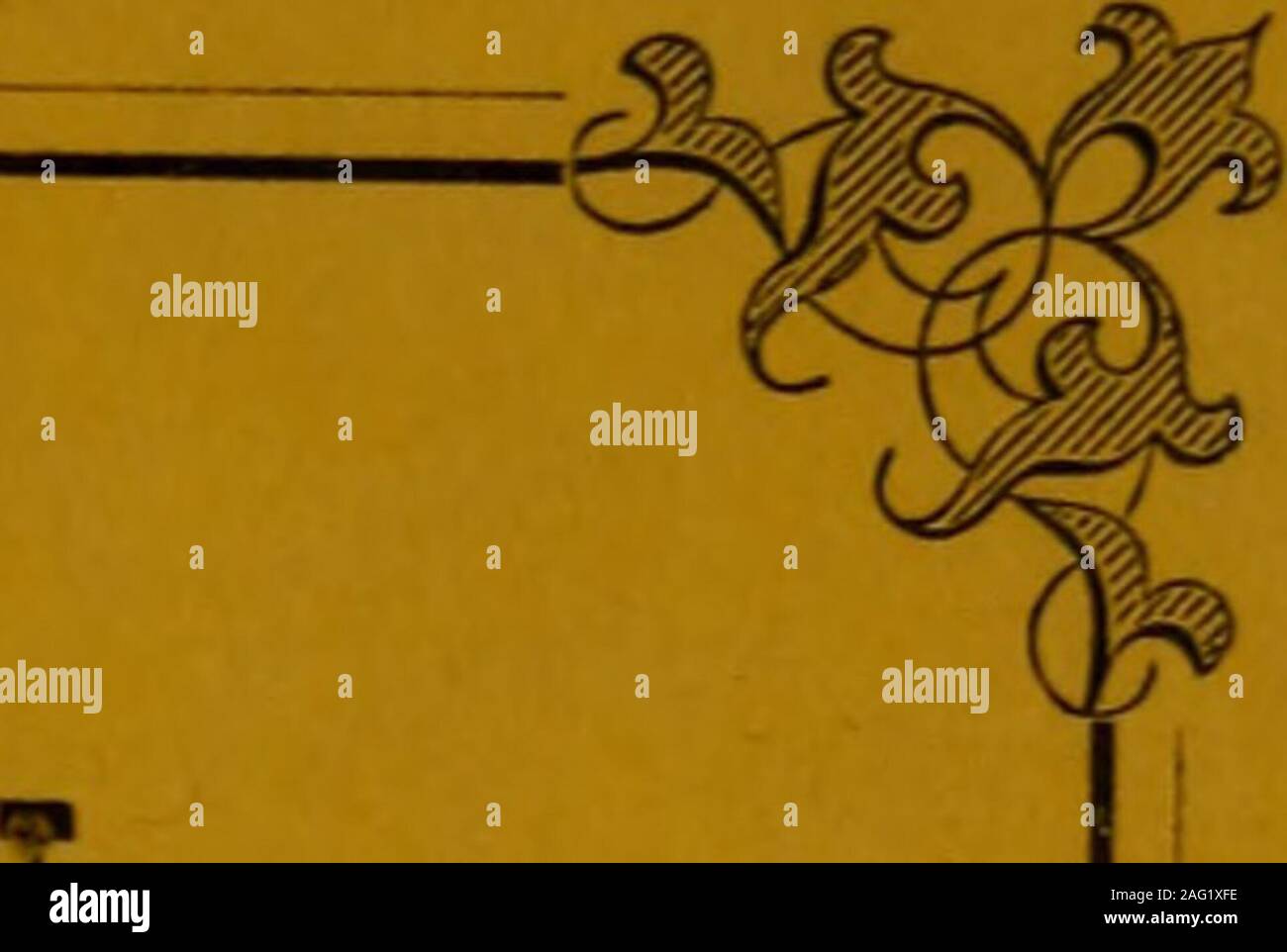 . Constitution et liste des membres de la République de l'Ohio de l'association District de Columbia ... er Talbot, Thomas M.Taylor, R. C. Taylor, J. W.Taylor, T. C. Taylor, Geo.Theaker, C. C.Theaker, N.Thomas, HenryThomas, AlfredThompson, ]. H. Thompson, John D.Thorp, M. R.Tichenor, AHA R.Tisdtl Tirtlot, P.W., W. M.Tod, R. P.Trimble, A. M. Waldo, Roswall Walker, A. Weber, OttoWeaver, [. C.Wheeler, fohn W.Whittlesey, R. H.Whittlesey, W. W.sera, Joseph B. Wilkinson, f. Lawrem cWilson H.Wilson, J., T.William., J. C. Williams, G. H.Winans, J. J. Woodburn, Wm.Wilber, Z. T.Wessle W., H. C. W. Wall, O. S. B. V Banque D'Images