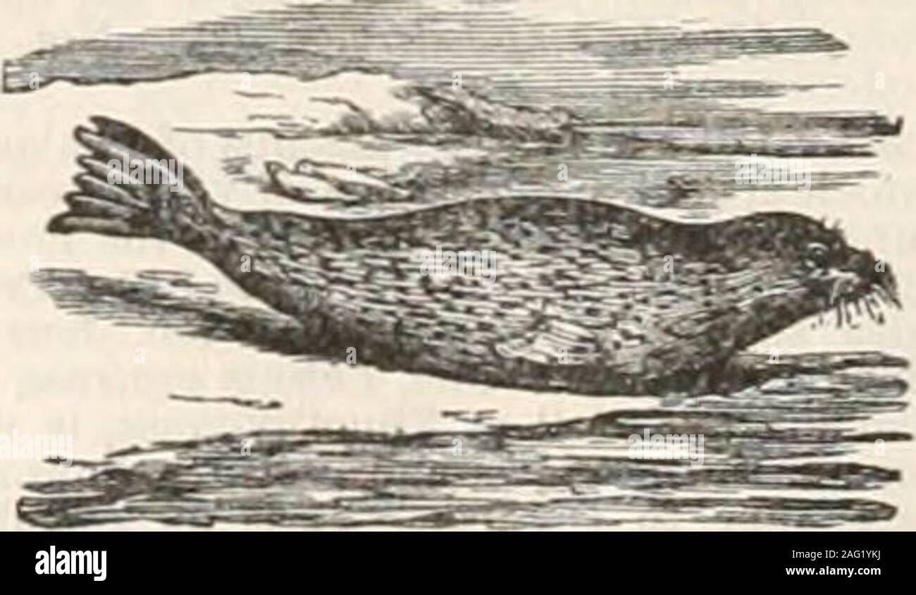 Werdegang Ergebnis Luftfahrt sprinkle traduction Gras Fernsehstation