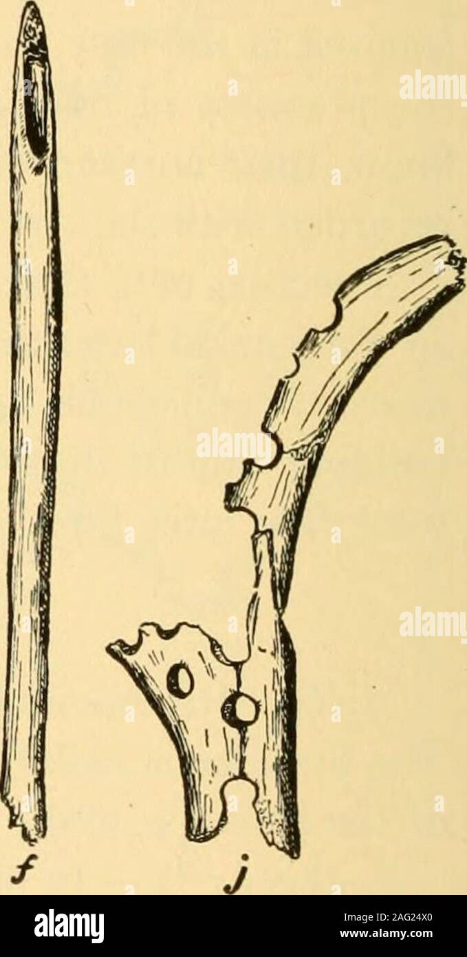 . Smithsonian Miscellaneous Collections. Fig. 16.-Pinedale en os. (| taille réelle.) parfaitement dans la fente, éliminant ainsi les possibilités d'itscatching dans d'autres threads pendant le fonctionnement. Problématique de l'outil.-l'objet d'os dans la figure i6, /, est fait d'os atubular ^ 7 pouces de long et 81 cm de diamètre. Le fait endis trop mou et spongieux d'avoir été utilisé comme un poinçon ou un poinçon. Os incisées.-spécimens g, h et i (fig. 16) sont d'autres exemples montrant les os le processus de coupe. Les deux premiers ont été apparentlysegmented dans la fabrication de perles mais la dernière disjointmentsw Banque D'Images