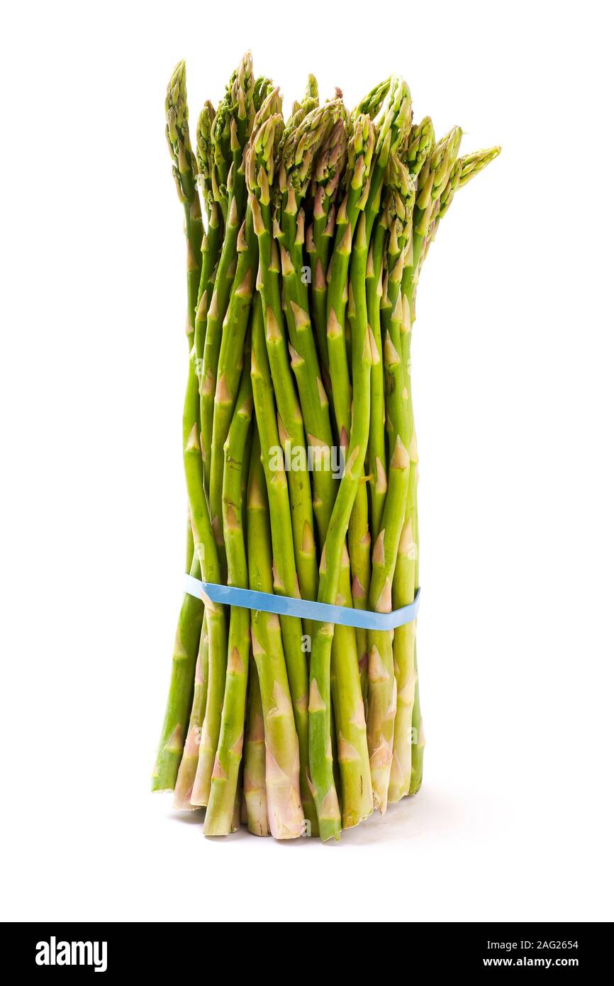 Couper les asperges fraîchement liés ensemble dans un groupe sur fond blanc. Beaucoup d'espace de copie. Banque D'Images