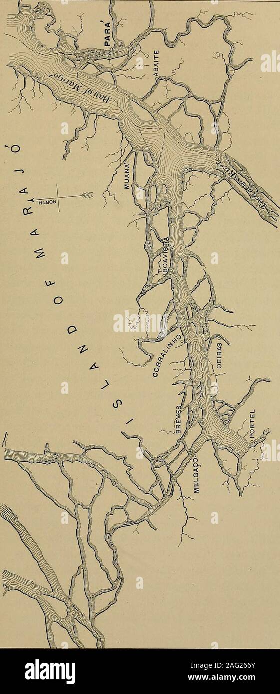 . Autour et à propos de l'Amérique du Sud. Nous l'arein Para River, nous avons généralement un ciel et de l'eau hori-zon, les deux devant et derrière nous. En fait, un nom spécial et veryappropriate est donné à une partie de la rivière ici-name-ly, la baie de Marajo. Nous passons la grande bouche d'theTocantins River. La terre est si faible que d'un côté ou de l'youdiscover qu'une légère marge de verdure. La nuit nous stop® pour une demi-heure à la petite ville de breves, sur l'Île ofMarajo, et de là, jusqu'à ce que nous avons près de l'embouchure de l'theXingu, nous sommes dans les canaux d'environ un demi-mille de largeur.passe sur le pont de bonne heure le lendemain matin, j'obta Banque D'Images