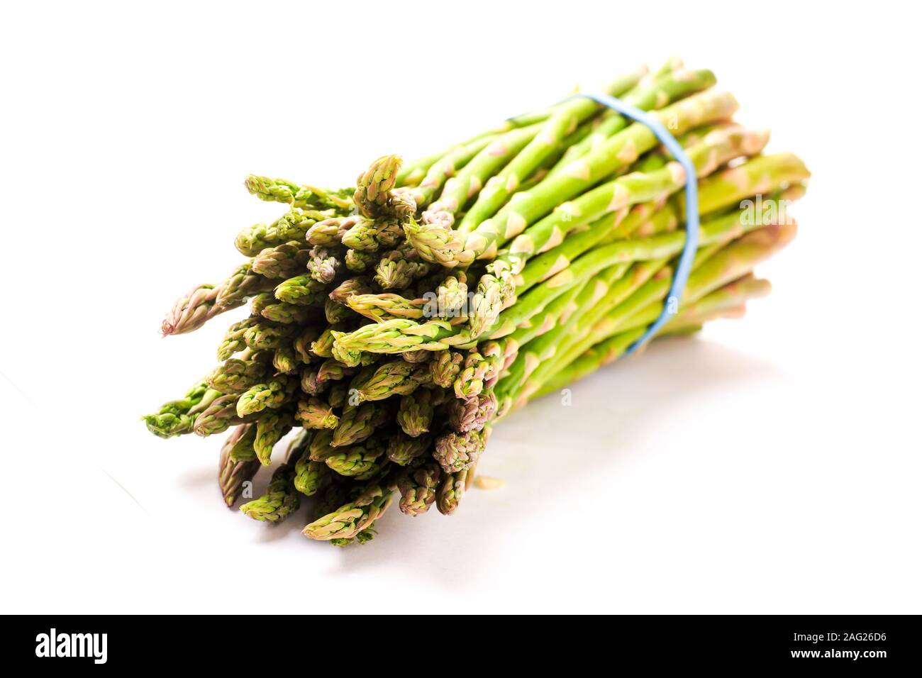 Couper les asperges fraîchement liés ensemble dans un groupe sur fond blanc. Beaucoup d'espace de copie. Banque D'Images