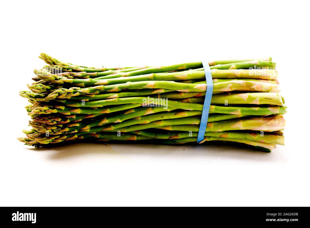 Couper les asperges fraîchement liés ensemble dans un groupe sur fond blanc. Beaucoup d'espace de copie. Banque D'Images