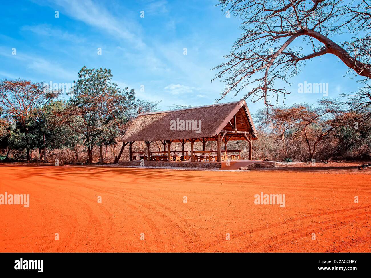 Aire de repos en réserve de Bandia (Sénégal). Il s'agit d'un parc du safari en Afrique de l'Ouest. Il y a du sable rouge. Banque D'Images