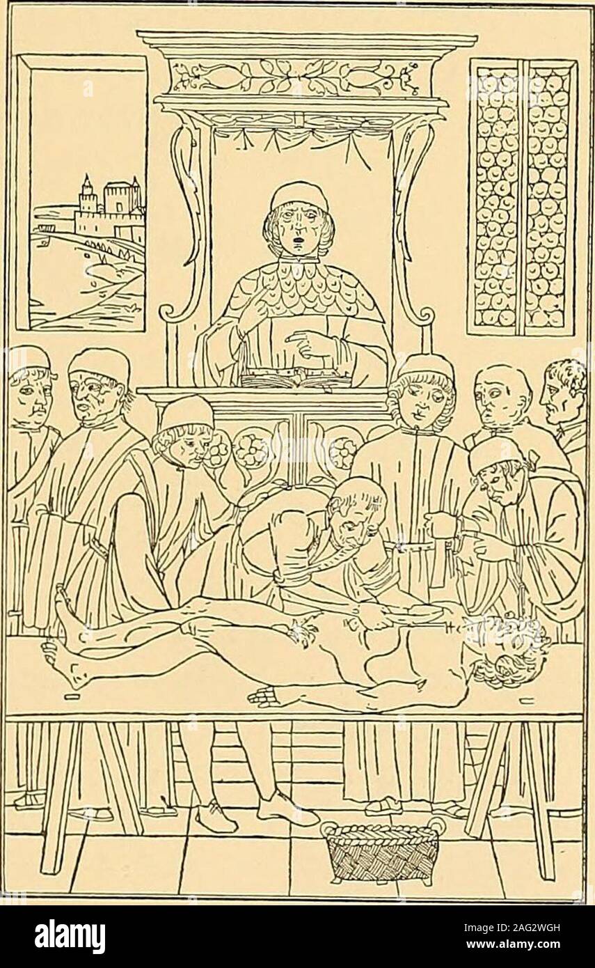 . Certains apôtres de la physiologie : être un compte de leur vie et de travail, qui ont contribué à l'avancement de l'art de guérison ainsi qu'à la prévention de la maladie. /TFTER les écrits de Galien, le prochain travail d'importance sur1 l'anatomie est celui d'MONDINUS, qui était professeur à Bologne, et y mourut en 1318. Ses œuvres écrites ont été imprimés en 1478.Une édition fait partie du fichier Medicinoe AKETHAM de JOANNES (1494). Il dispose d'une gravure sur bois, attribuée à l'VenetianSchool de Bellini, représentant l'anatomiste disséquant les humanbody, qui est, selon R. Willis, t Banque D'Images