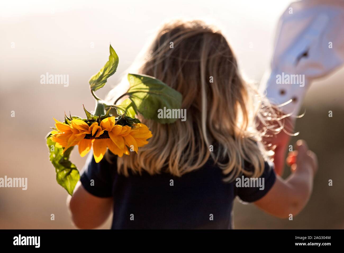 Jeune fille qui marche main dans la main avec son père et à l'exécution le tournesol. Banque D'Images