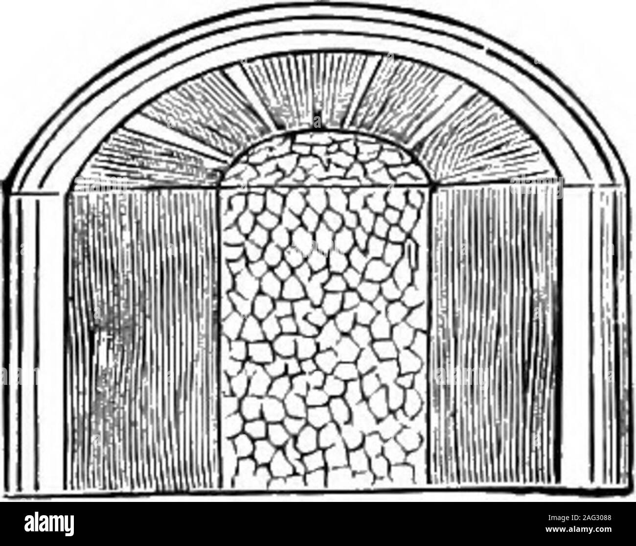 . Les leçons de l'objet d'histoire naturelle : un manuel pour les enseignants. Fig. 30.- L'article de lin.. Fig. 29.-Section de chêne. Fig. 31.- La section ofone-)ear-vieux chêne. L'âge de l'arbre. Il ne doit pas être supposé que l'woodylayers entièrement constituée de tissus ligneux ; au contraire, des parois fines de tissus cellulaires étendre irrégulièrement de thepith à l'écorce. Dans une section d'une tige de ces murs looklike rayons, rayonnant à partir du centre, et sont donc l'calledmedullary rayons. Les ébénistes parlent de ces rayons comme lesraccords du tuyau grain du bois. Une grande partie de la beauté de l'polishedoak dépend de ces rayons médullaires. L'écorce d'Exog Banque D'Images