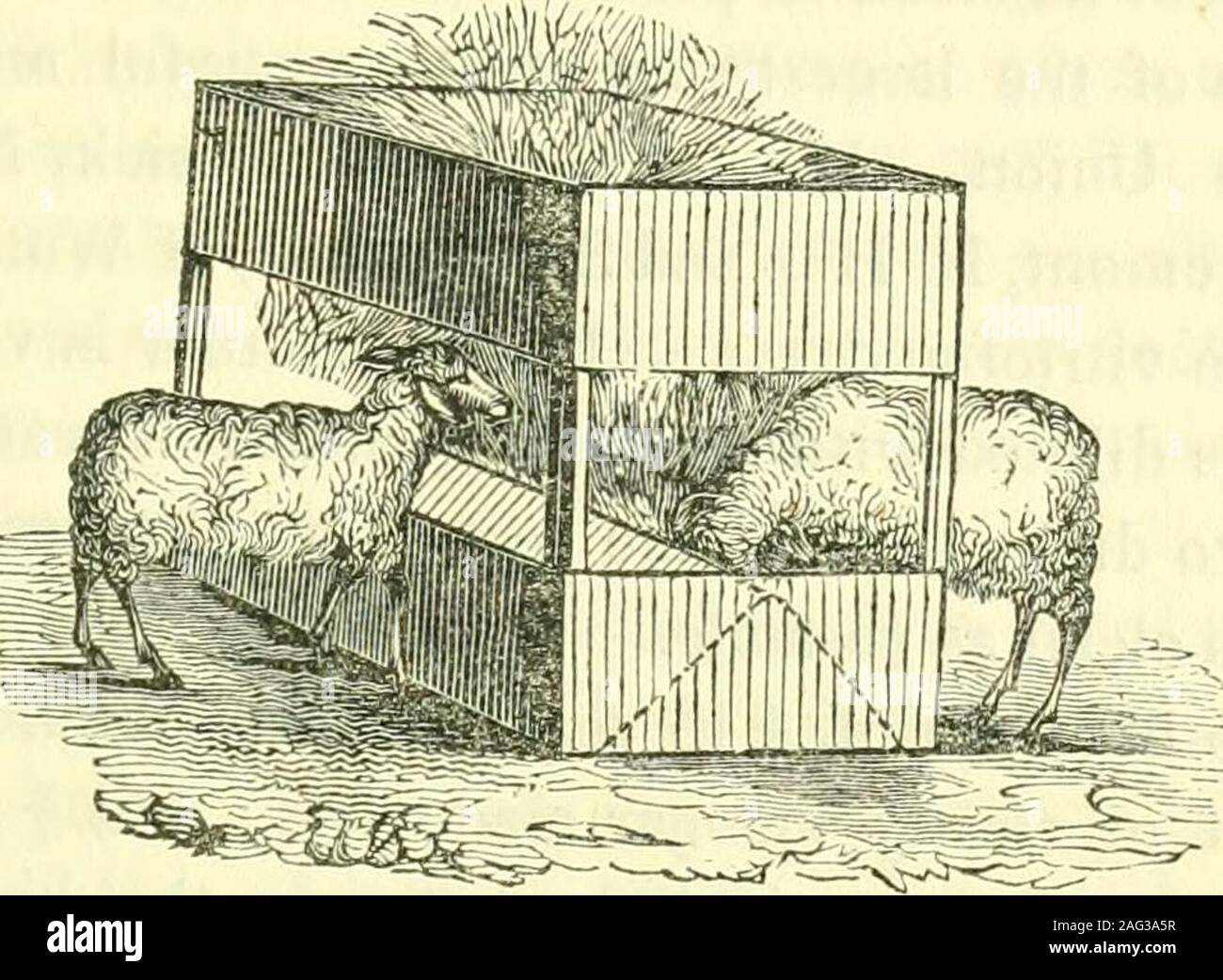 . Rapport sur l'agriculture du Massachusetts. est consommée par les moutons. La crèche qui est préférable à toute autre est d'suchlength pour être aisément déplacé par deux personnes, et il est fait withfour ou plusieurs postes debout, et avec deux conseils ou de lamelles en étendre à l'ensemble de la distance le les côtés et se termine. Le bottomboard sur le côté peut être dix ou douze pouces de largeur ; qu'andabove, laissant un espace d'environ un pied ou 14 pouces,il y a peut-être un autre conseil d'environ six ou huit pouces. inwidth La largeur de la crèche ou fort devrait être au sujet de twofeet. Il doit avoir un fond serré, avec deux pièces Banque D'Images