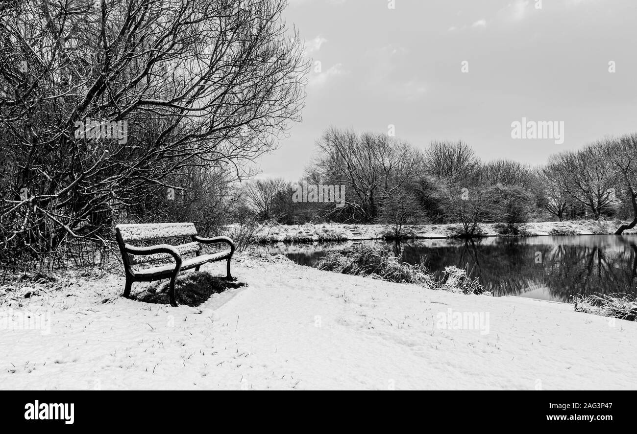 Une visite matinale froide dans ma région de la nature à Billingham, Charltons Pond.Partiellement congelé et très froid. Banque D'Images