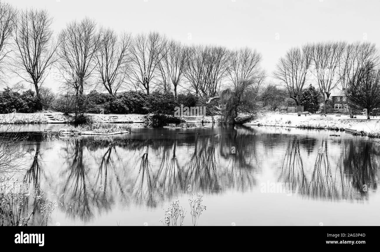 Une visite matinale froide dans ma région de la nature à Billingham, Charltons Pond.Partiellement congelé et très froid. Banque D'Images