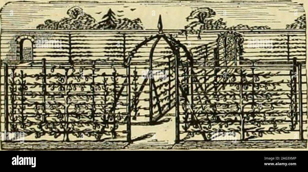 . L'Gardeners' chronicle : un journal illustré hebdomadaire de l'horticulture et des sujets. Prix par 24 pouces de haut Yaxd Lineal Mesh. Principalement utilisé pour le manomètre. Le manomètre. Manomètre, 1 en 11.11. Les petits lapins, &c. plus petits lapins. 1919 ZD. 1818 Zd.4K. 1717 4fri.bd. L'Illustre les listes de prix de grillage, IronHurdles, bar et de grillage, l'anglais EspalierFencing et câblage mural pour la formation des arbres fruitiers,sur demande. J. B. BROWN & CO., 90, CANNON STREET, LONDON, p. ex. ARDEN Capture pour que la vente, en petites ou grandes quantités, pour protéger les fruits et les arbres et mur,graines et de fraise de IJeds Bird Banque D'Images