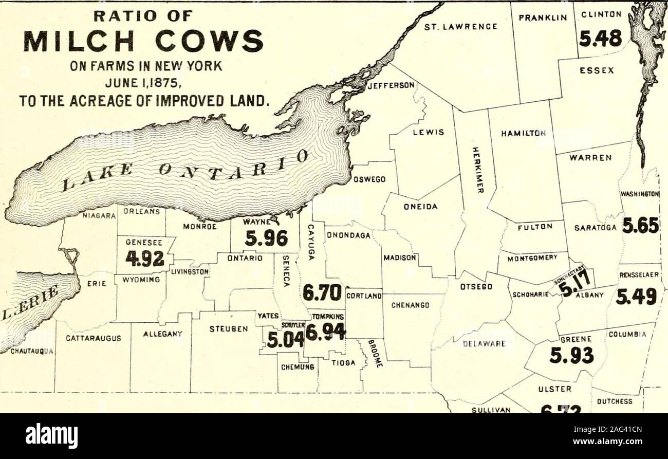 . Recensement de l'état de New York pour 1875. Proportion de vaches laitières SUR LES FERMES AU NOUVEAU YORKJUNE,1,1875 À LA SUPERFICIE DE TERRES améliorées. Comtés. Rockland, Tompkins, Queens, Ulster, Cayuga, Onondaga, Wayne, Greene, Suffolk, Washington, Rensselaer, 41 Clinton, Schenectady, 42 ! 43 Schuyler, } 44 Genesee, J 45 ULSTER .^--^^ tr DUTCHESS j la carte no 3. Banque D'Images